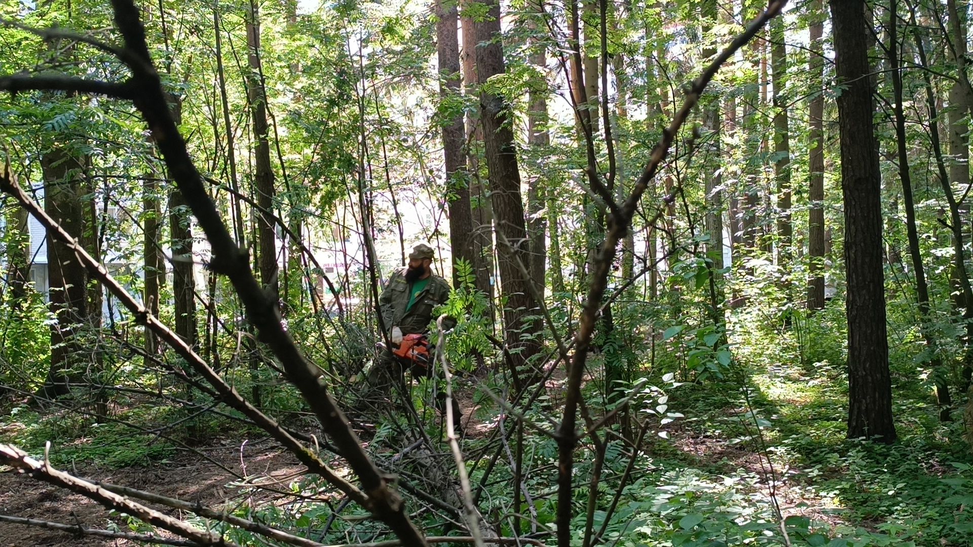 чистый лес, лобня, экология, казаки,