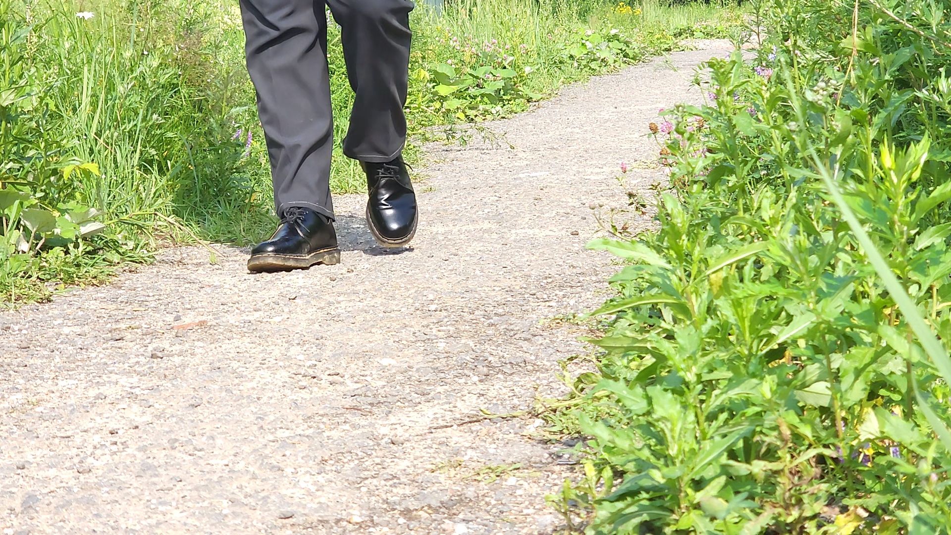 Одинцово, жаворонки, пешком, губернаторская программа,