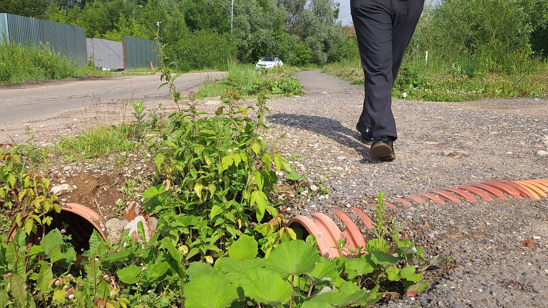 Одинцово, жаворонки, пешком, губернаторская программа,