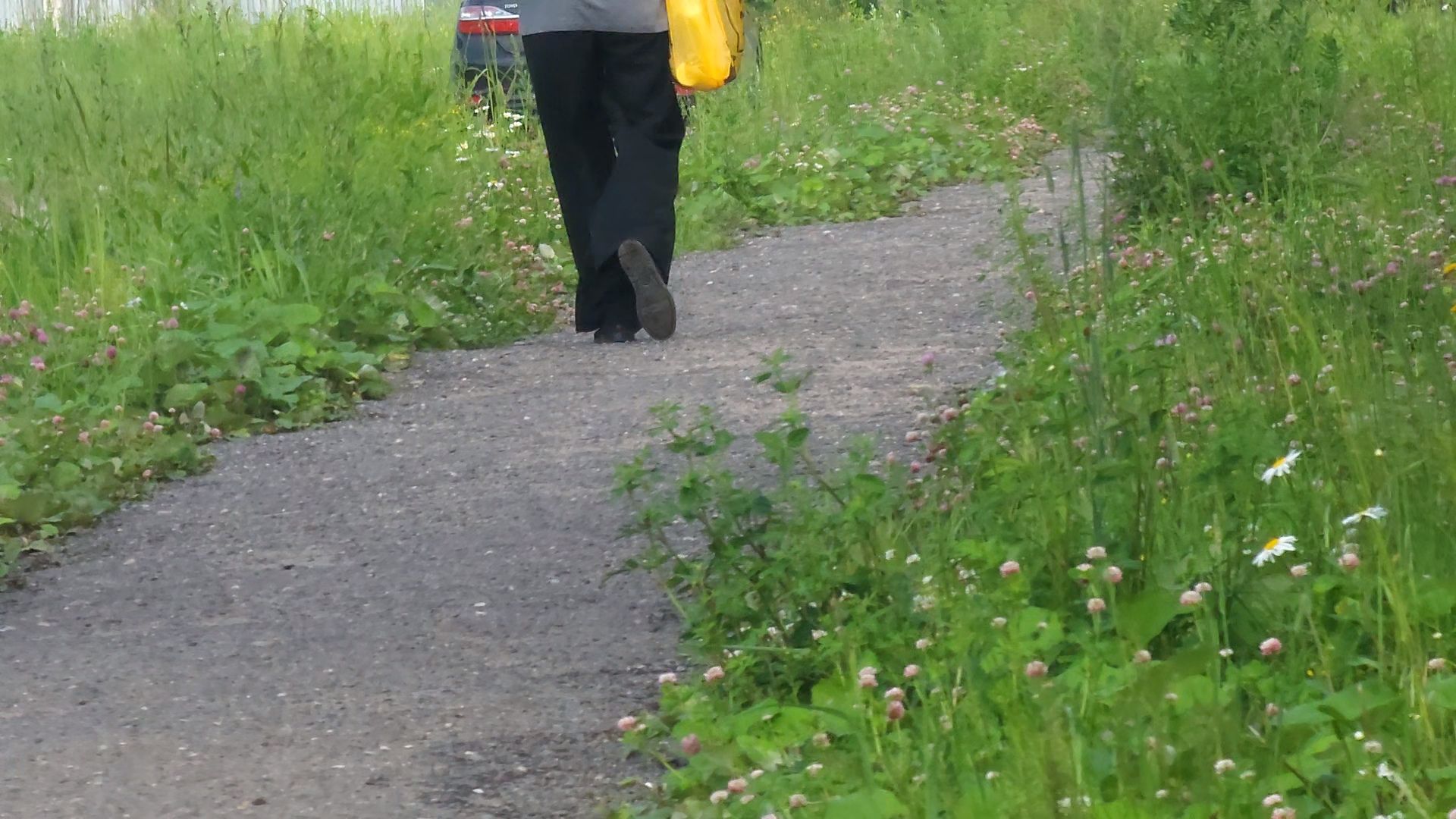 Одинцово, жаворонки, пешком, губернаторская программа,