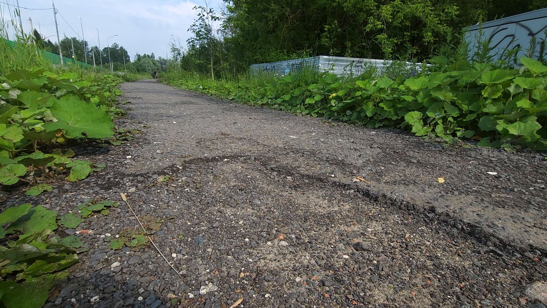 Одинцово, жаворонки, пешком, губернаторская программа,