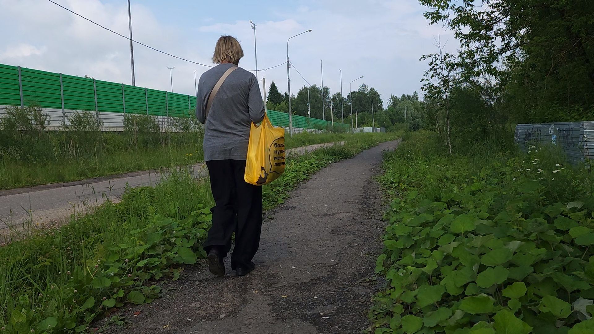 Одинцово, жаворонки, пешком, губернаторская программа,