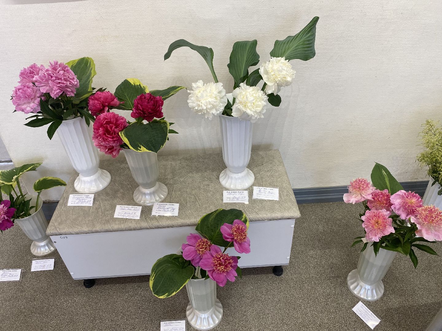 цветы, коломна