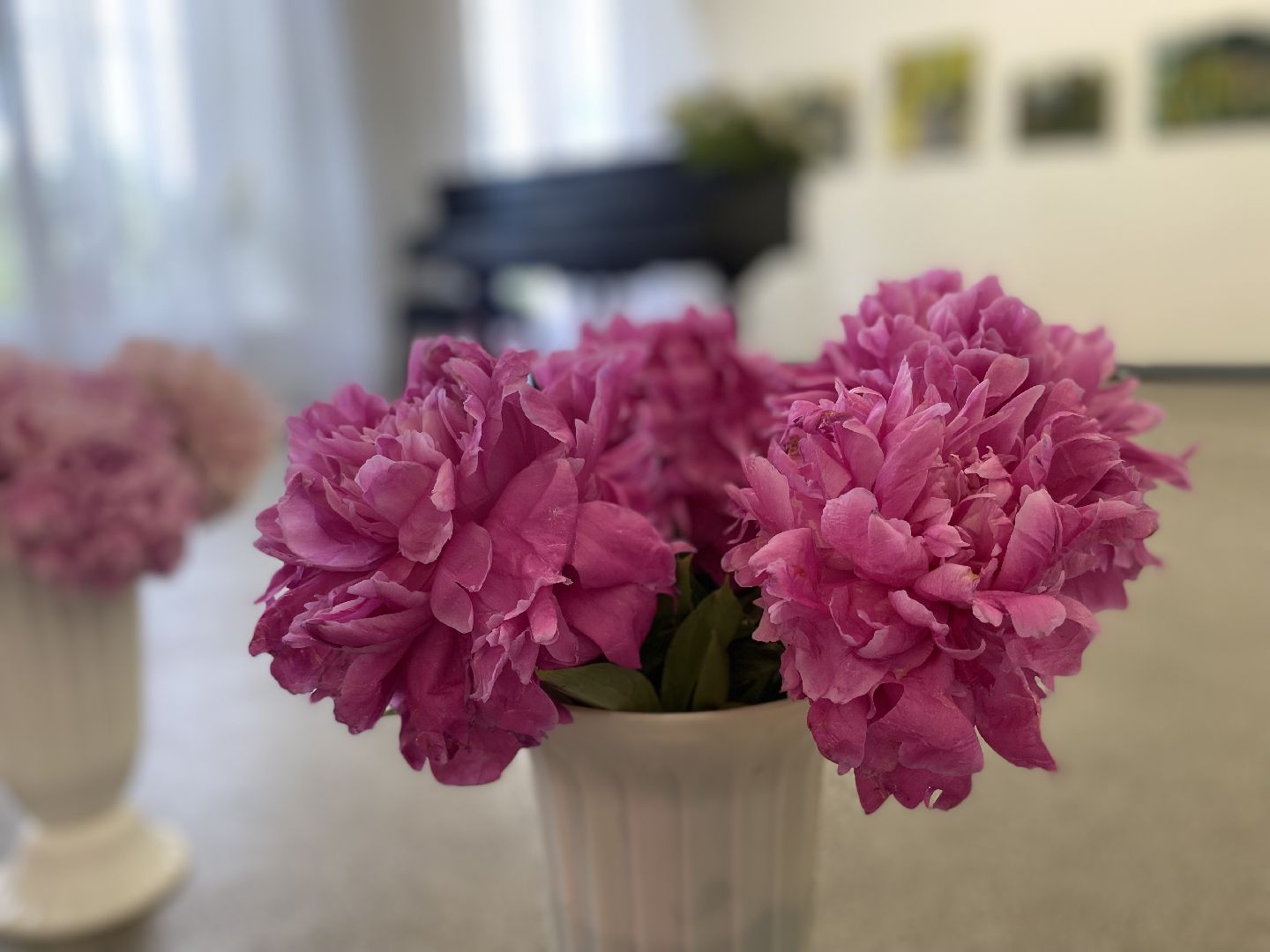 цветы, коломна