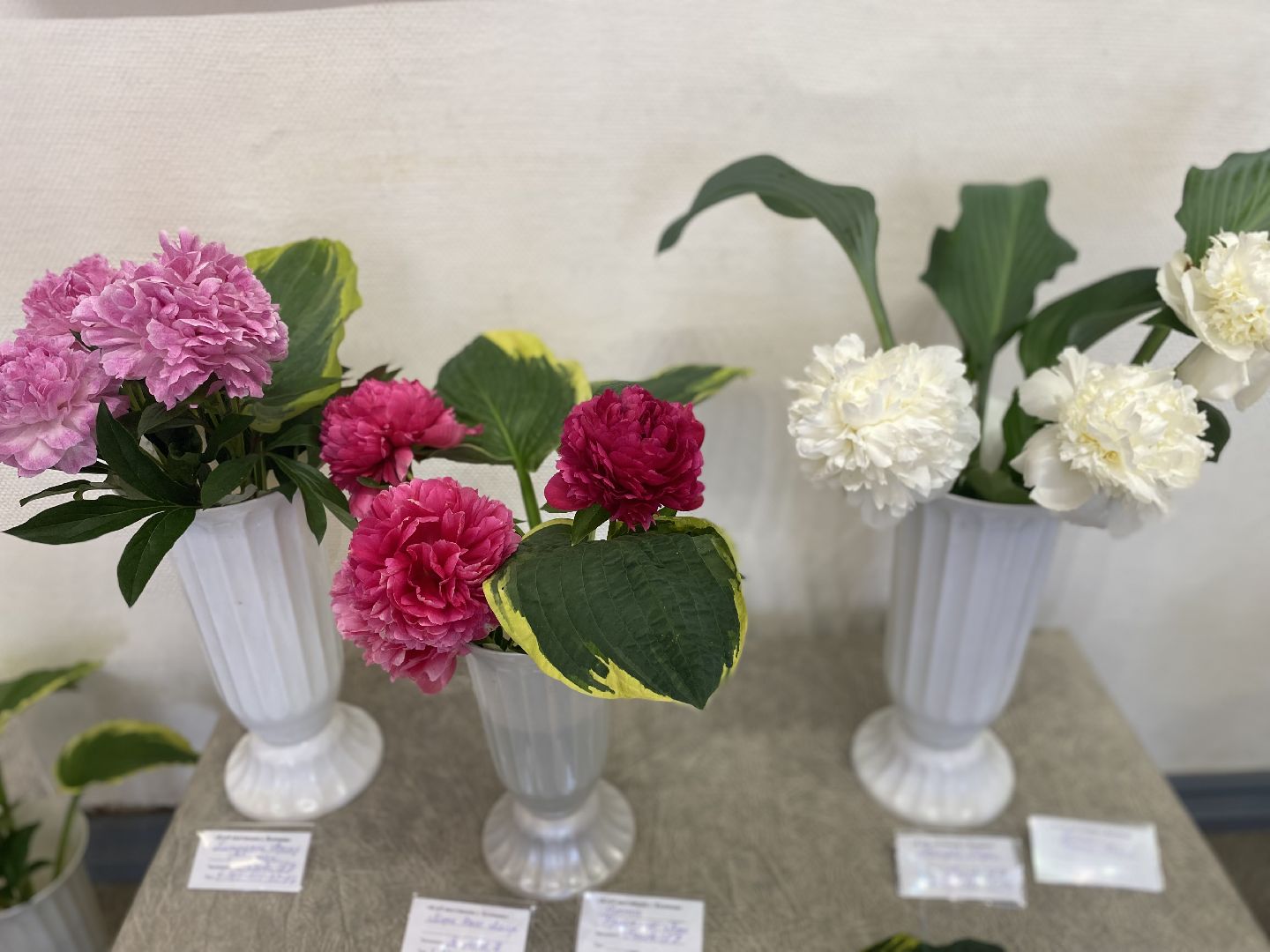 цветы, коломна