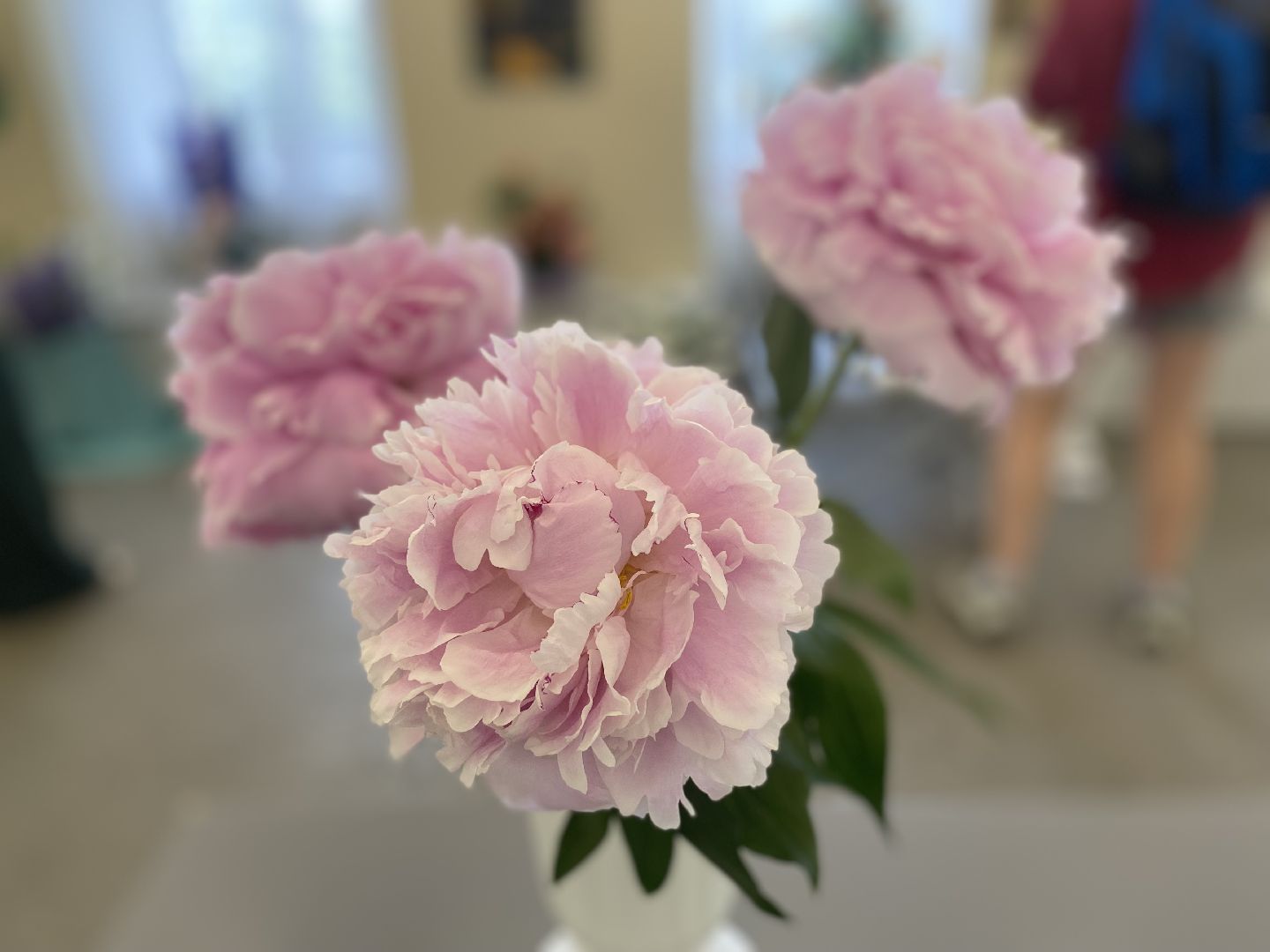 цветы, коломна