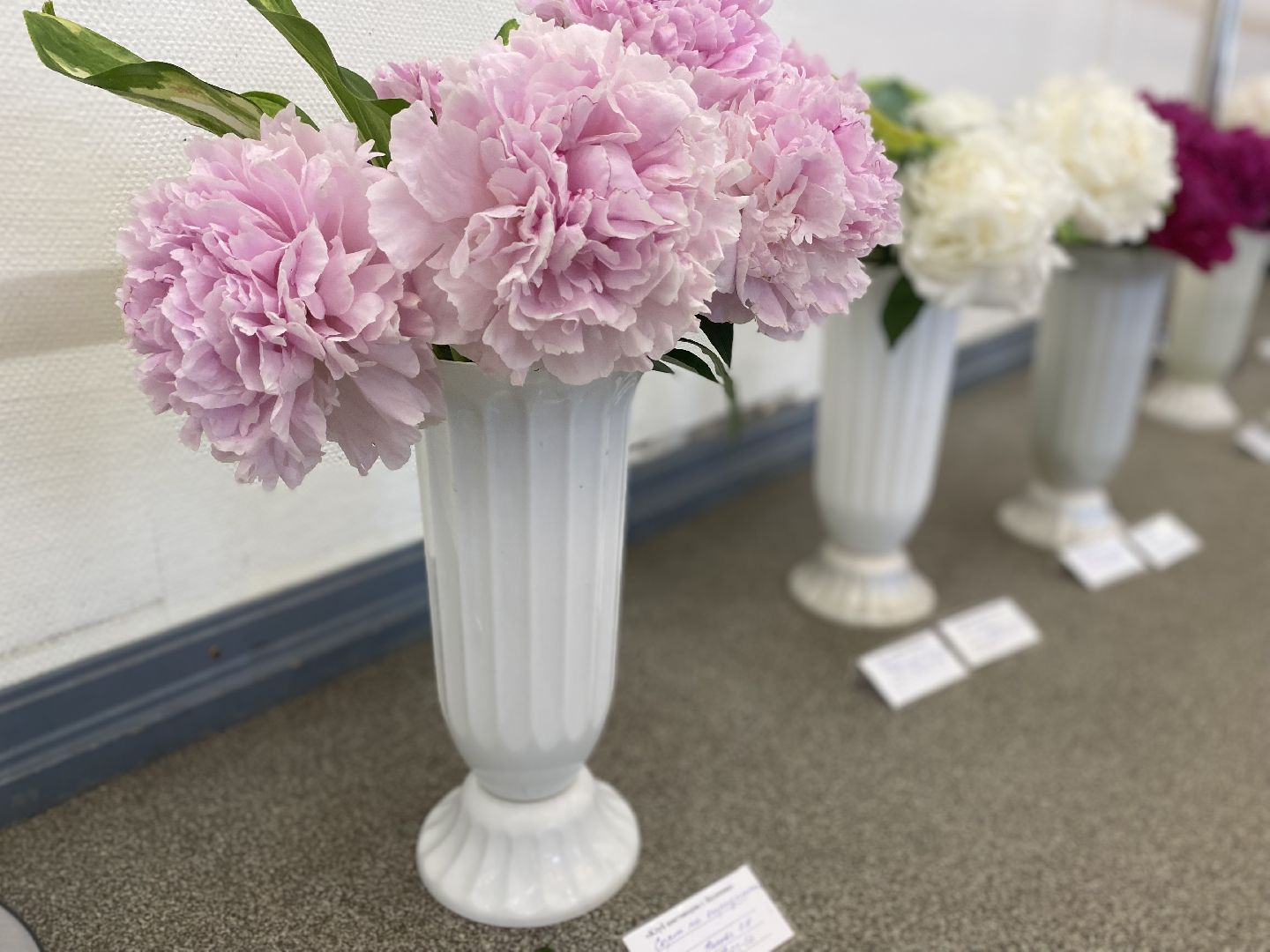 цветы, коломна