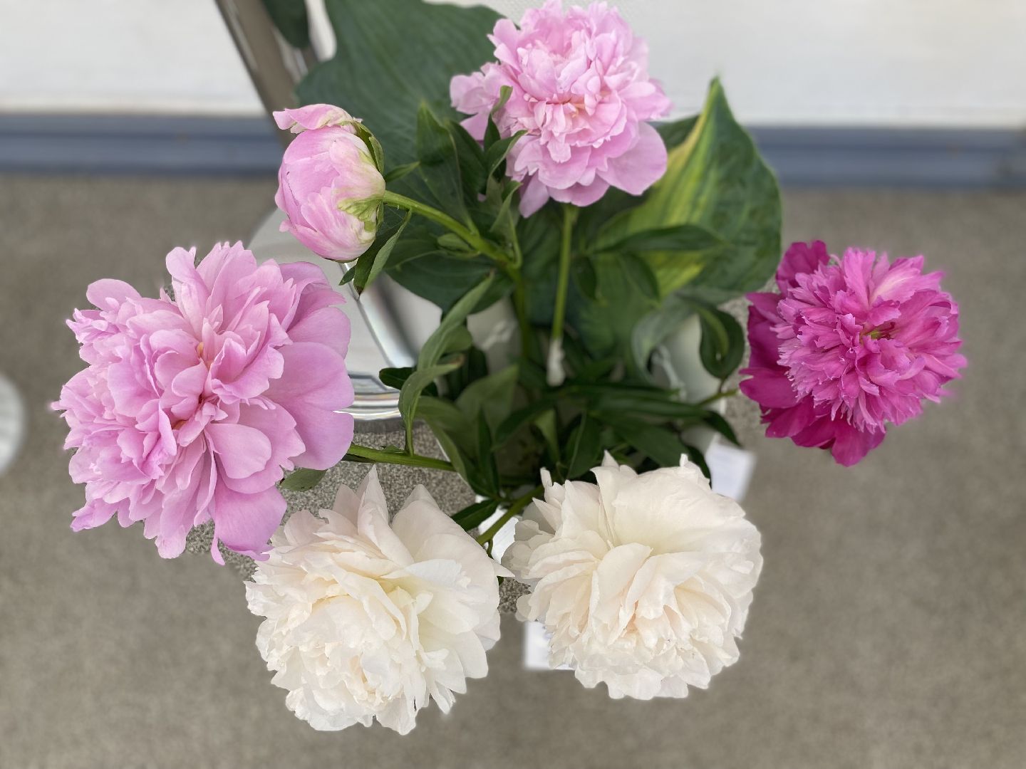 цветы, коломна