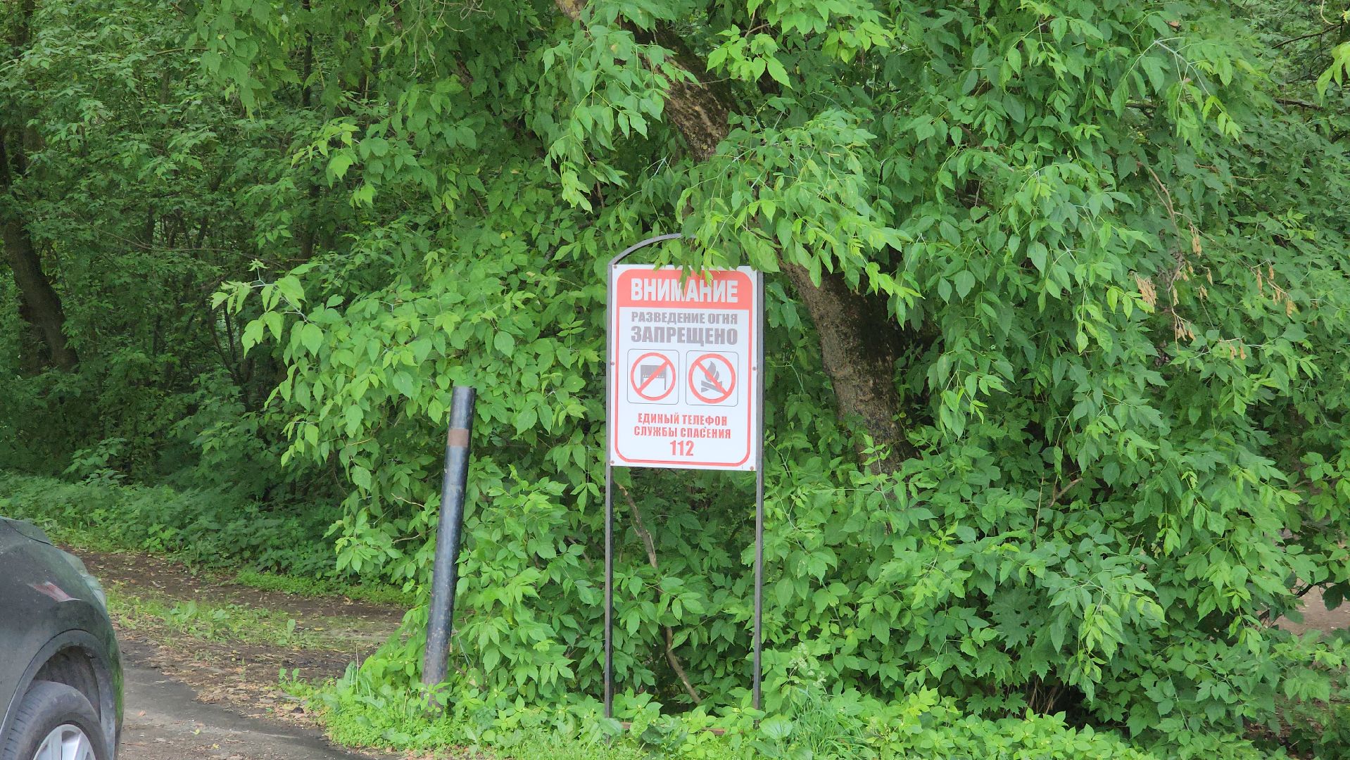 противопожарный режим, особый режим, разведение костров, леса, жуковский,