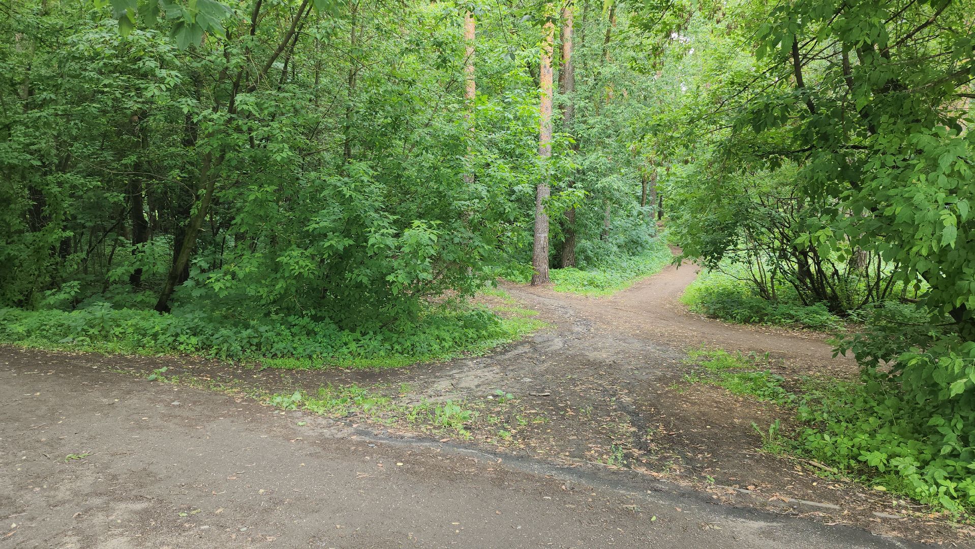 противопожарный режим, особый режим, разведение костров, леса, жуковский,