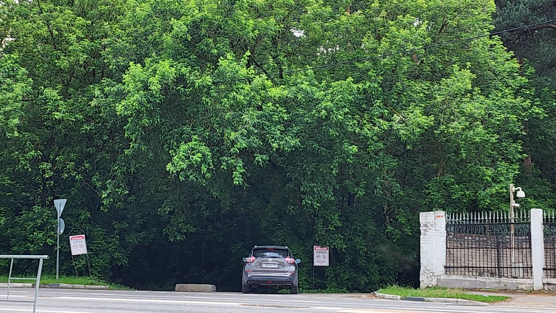 противопожарный режим, особый режим, разведение костров, леса, жуковский,