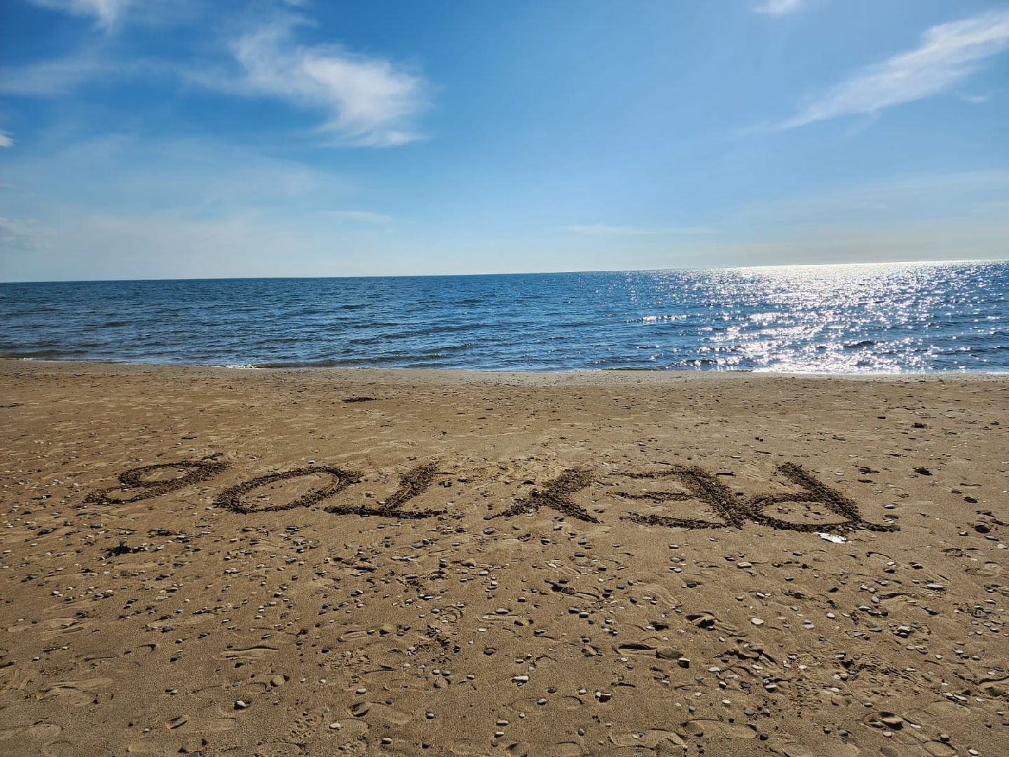 Реутов, образование, Орлята России, программа, школьники, лагерь