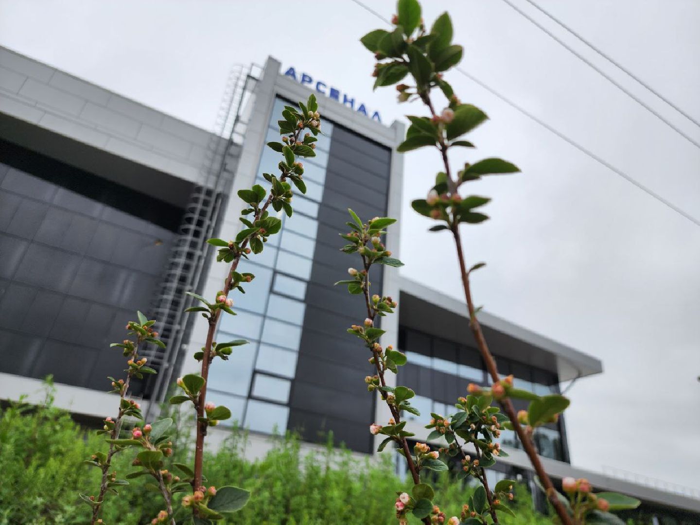 можайск, можайский городской округ, подмосковье, фок, дворец спорта, арсенал, строительство, школа олимпийского резерва по самбо и дзюдо, спортивный комплекс,