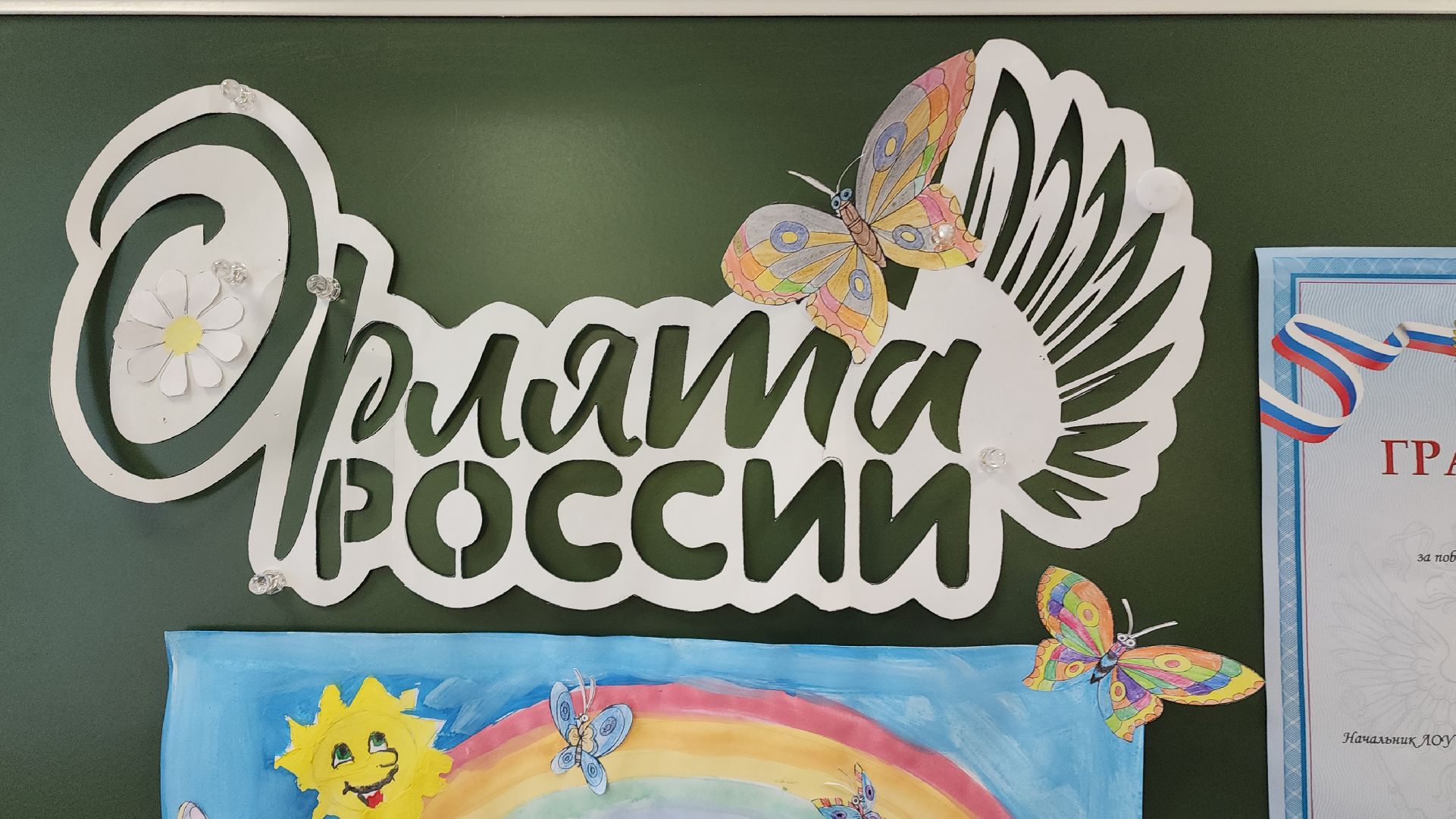 электросталь, мой город, образование, образование подмосковья, пришкольный лагерь, летний лагерь, летний досуг, летний отдых, гимназия,