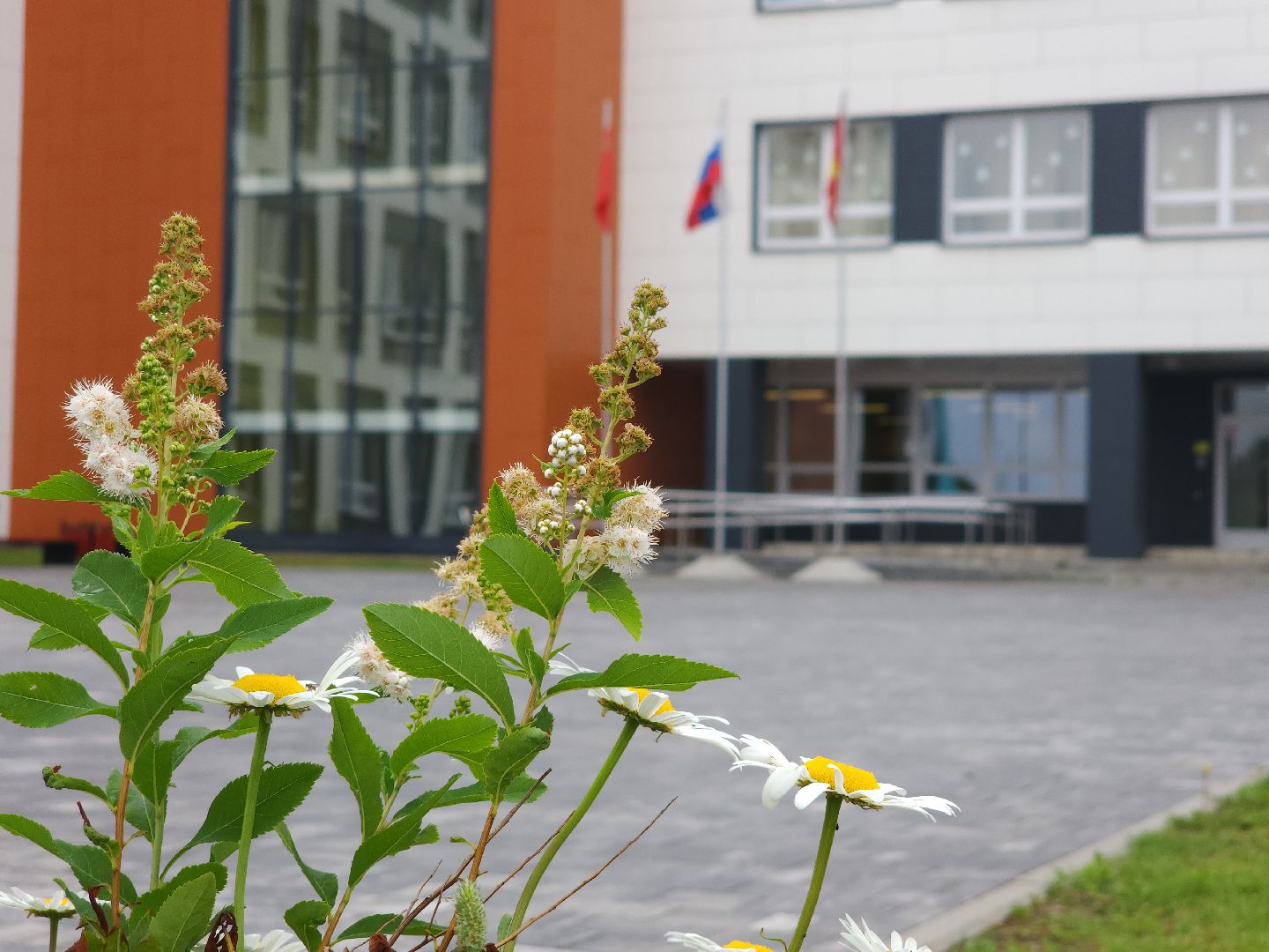 электросталь, мой город, образование, образование подмосковья, пришкольный лагерь, летний лагерь, летний досуг, летний отдых, гимназия,