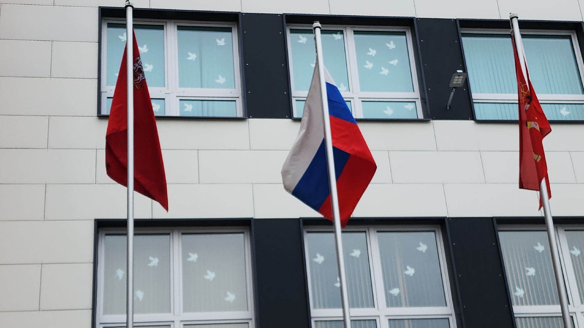 электросталь, мой город, образование, образование подмосковья, пришкольный лагерь, летний лагерь, летний досуг, летний отдых, гимназия,