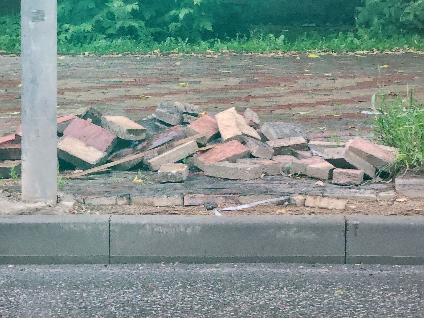 долгопрудный, народные тропы, благоустройство, пешеходная дорожка, асфальт,