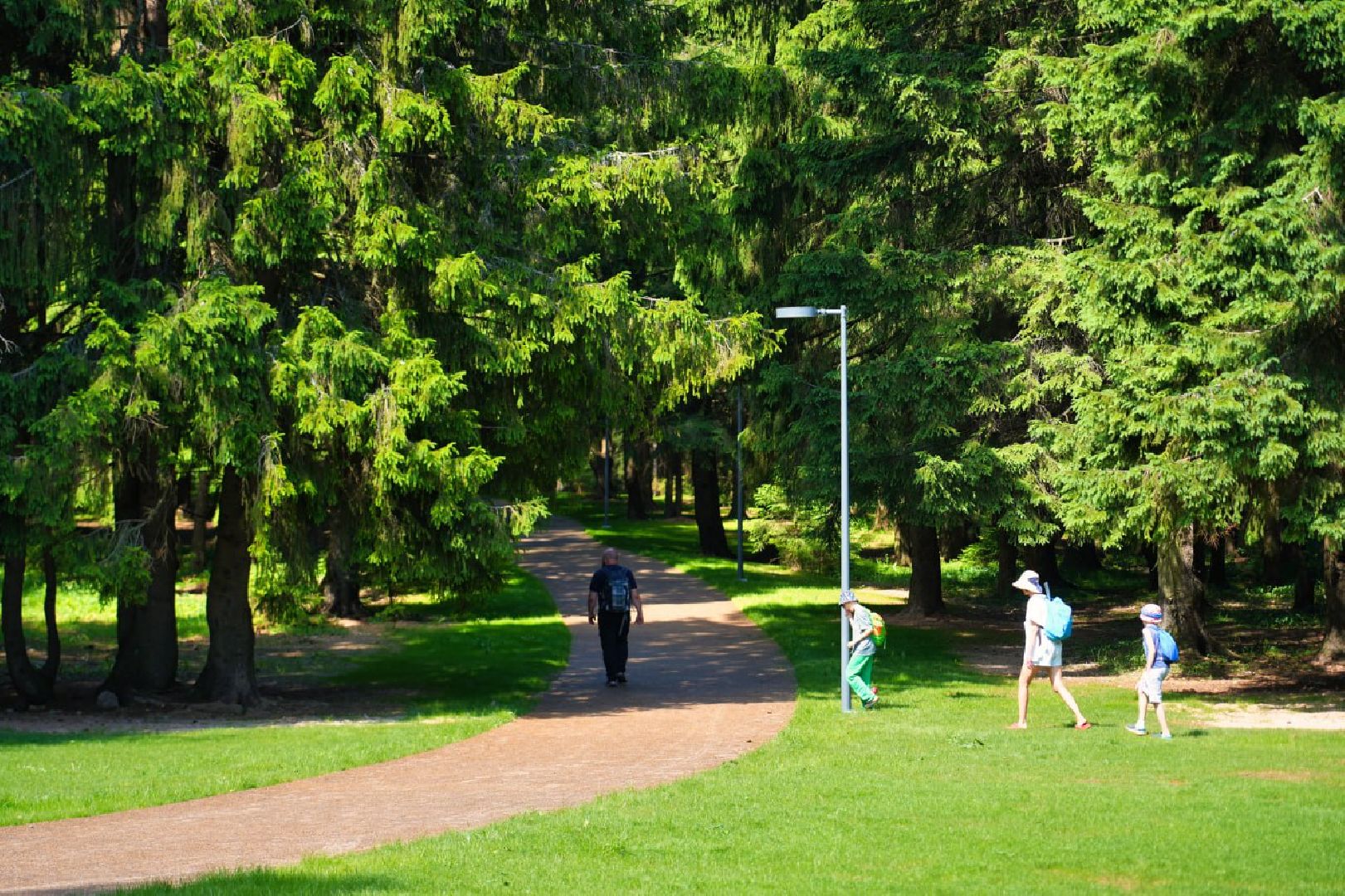 Сергиев Посад, Парки в лесу, Сергиево-Посадский городской округ, Лесопарк, Благоустройство, Загорское море,
