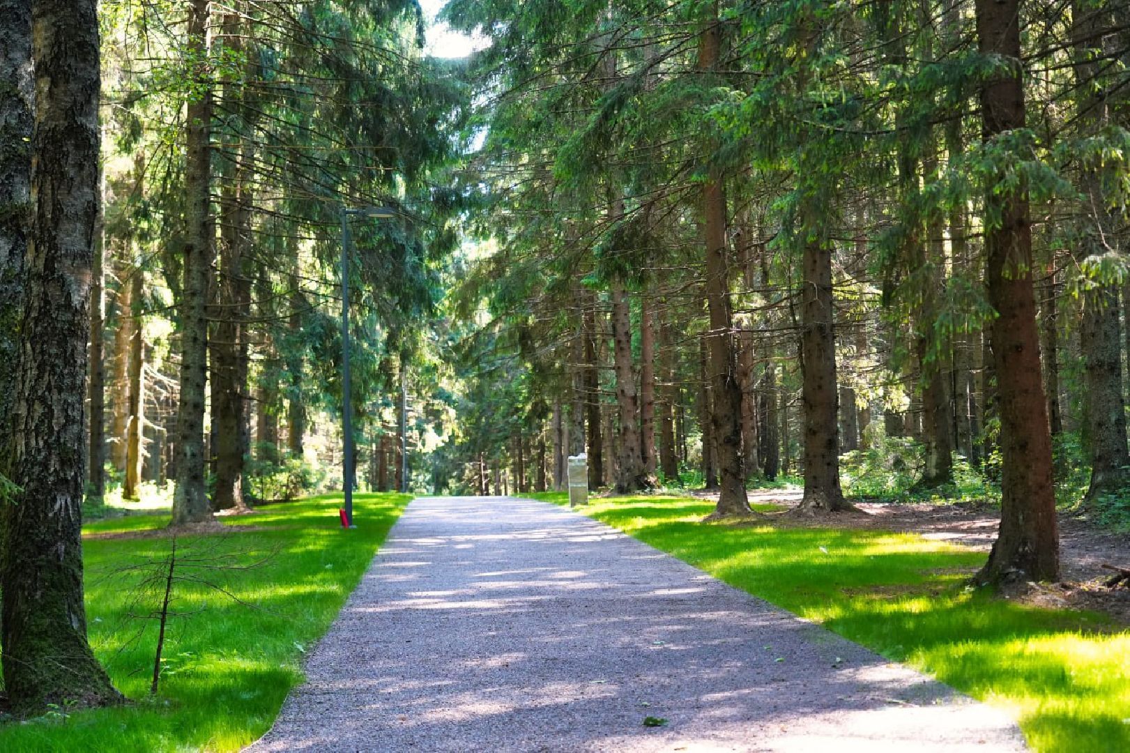 Сергиев Посад, Парки в лесу, Сергиево-Посадский городской округ, Лесопарк, Благоустройство, Загорское море,