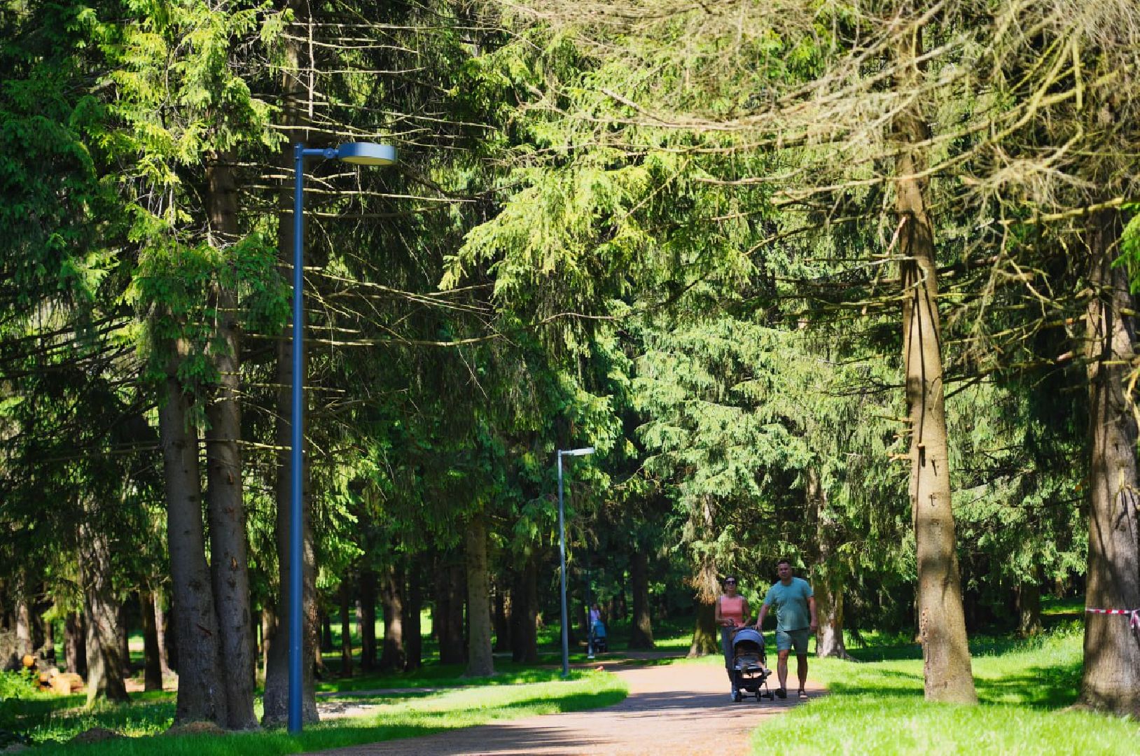 Сергиев Посад, Парки в лесу, Сергиево-Посадский городской округ, Лесопарк, Благоустройство, Загорское море,