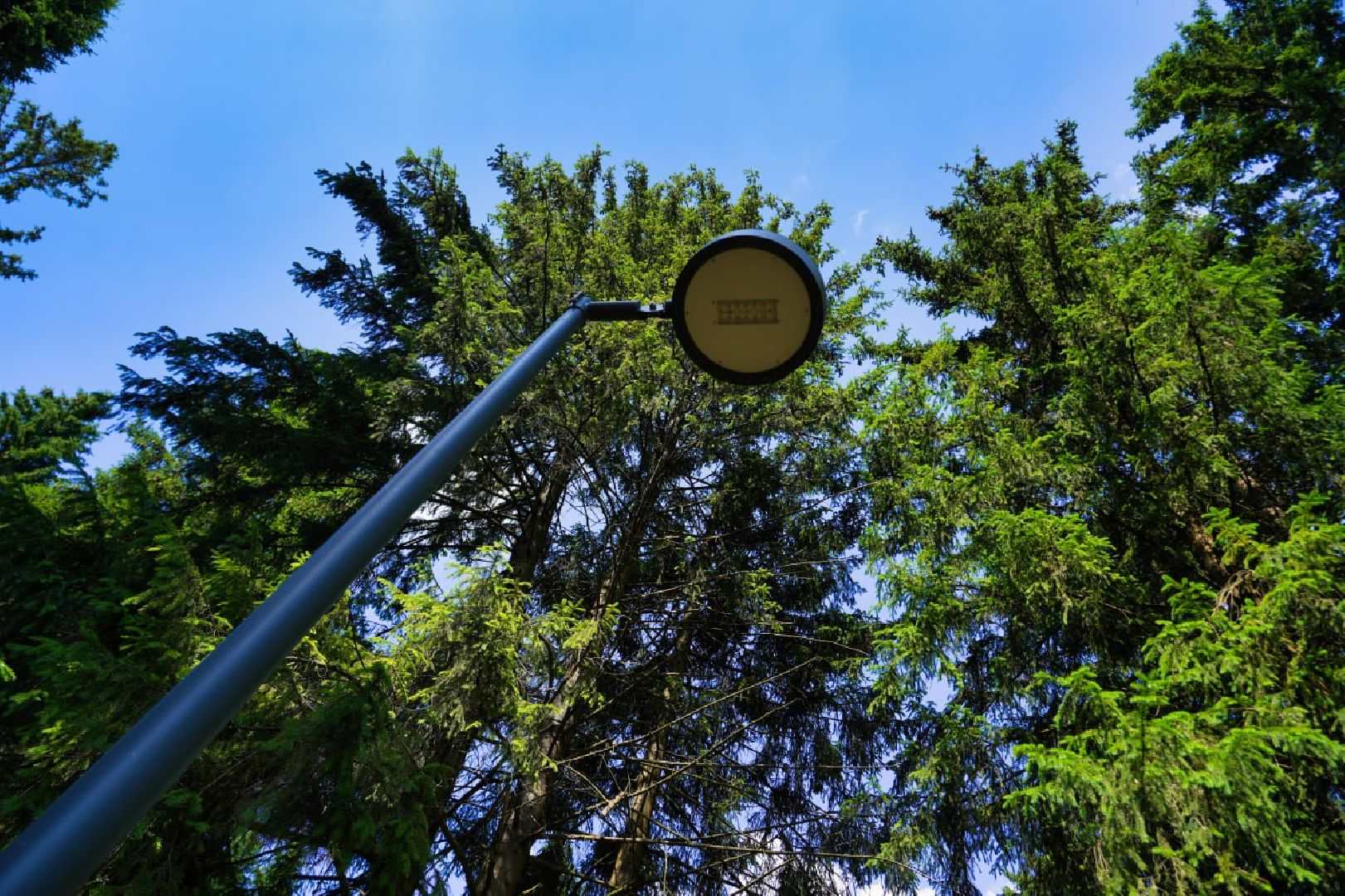Сергиев Посад, Парки в лесу, Сергиево-Посадский городской округ, Лесопарк, Благоустройство, Загорское море,