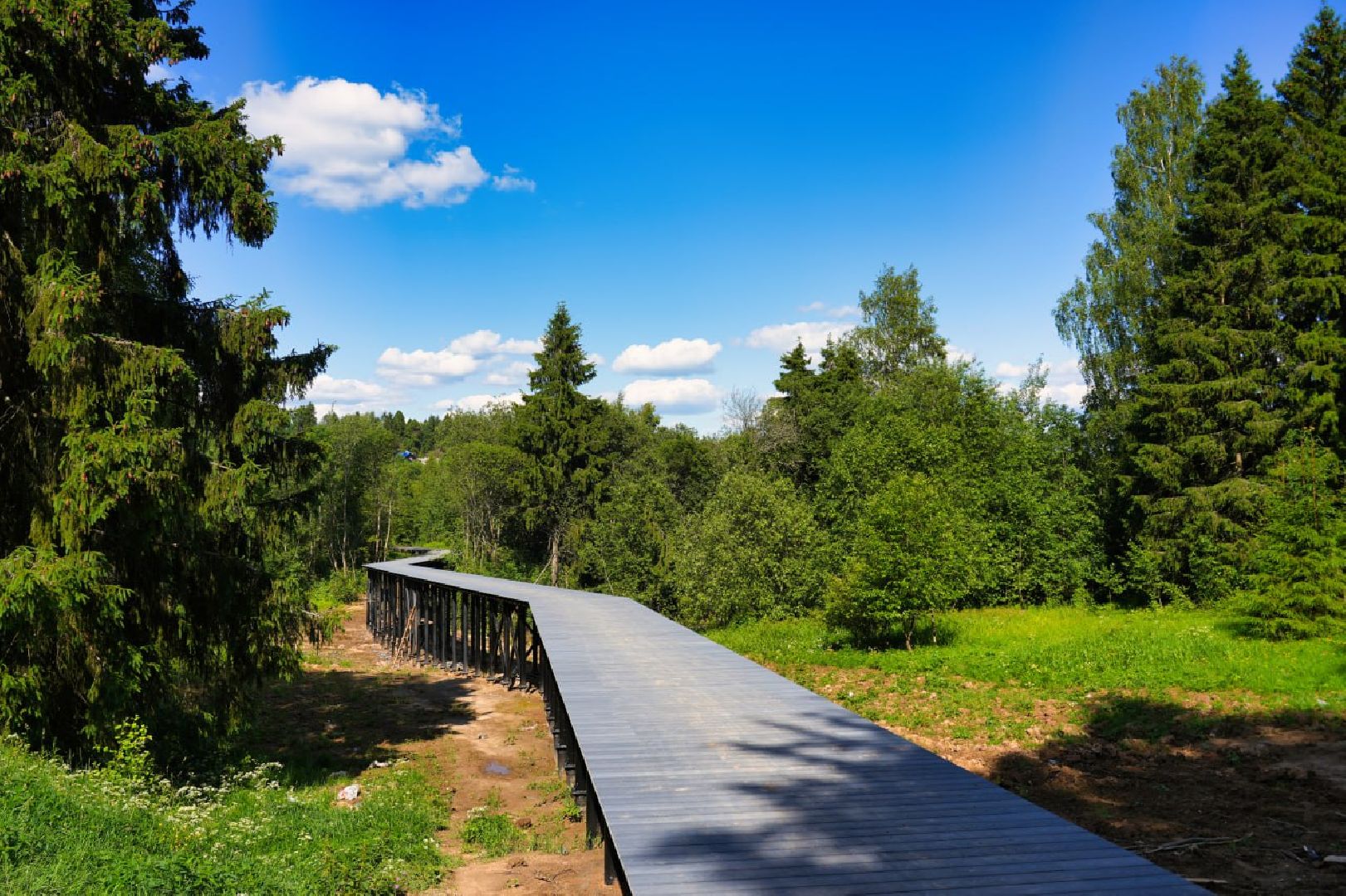 Сергиев Посад, Парки в лесу, Сергиево-Посадский городской округ, Лесопарк, Благоустройство, Загорское море,
