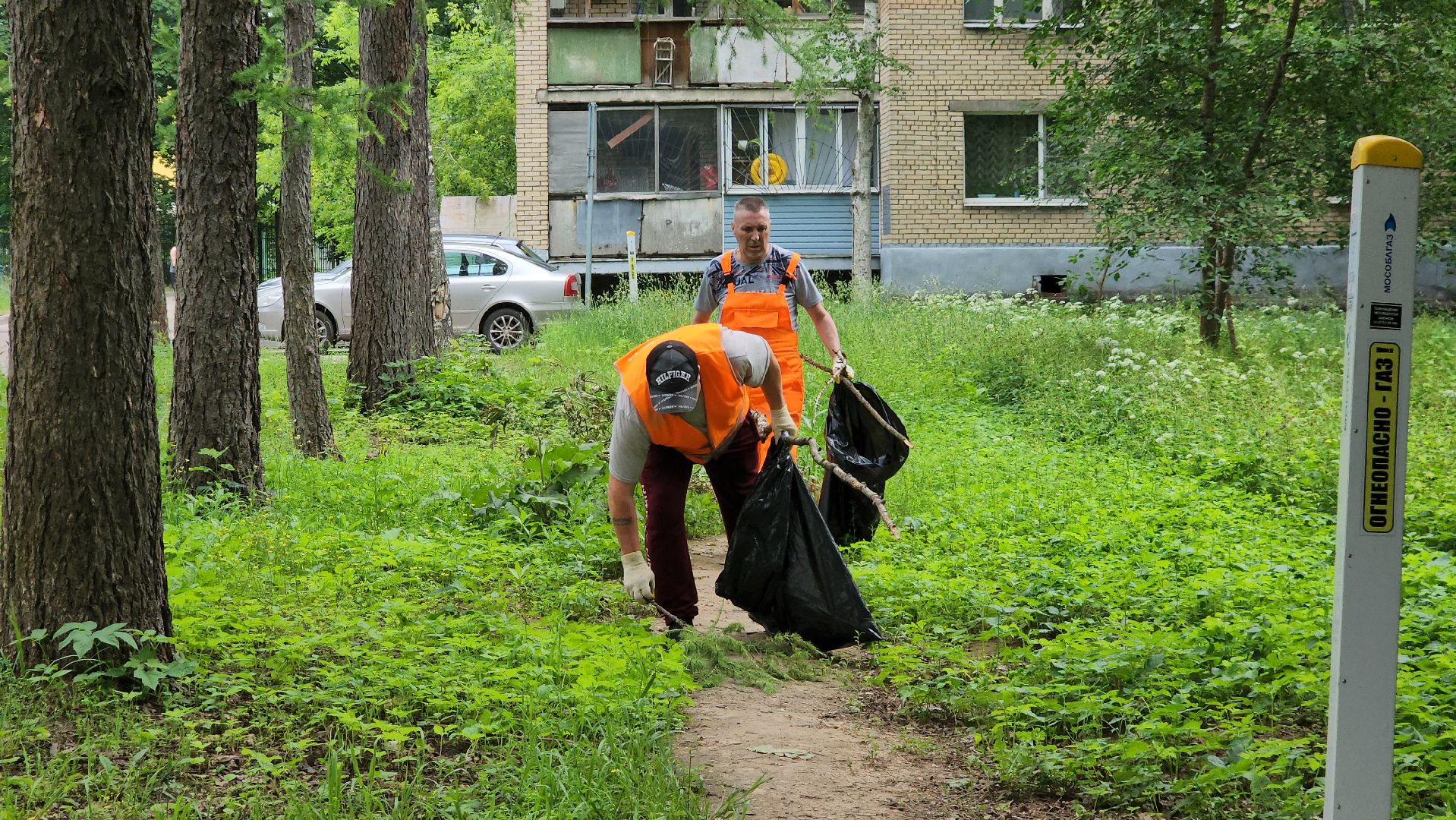 пушкино, благоустройство, уборка мусора, зоны отдыха,