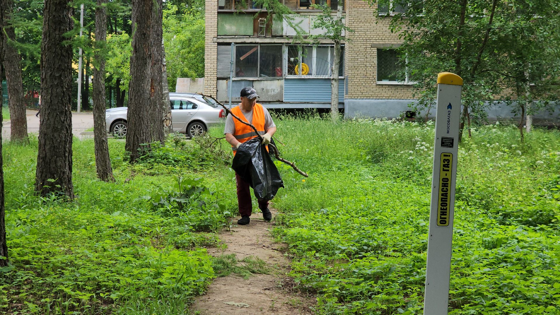 пушкино, благоустройство, уборка мусора, зоны отдыха,