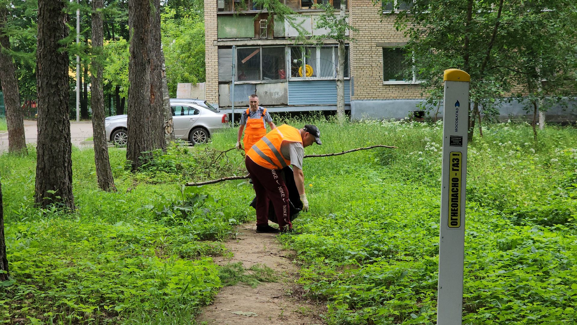 пушкино, благоустройство, уборка мусора, зоны отдыха,