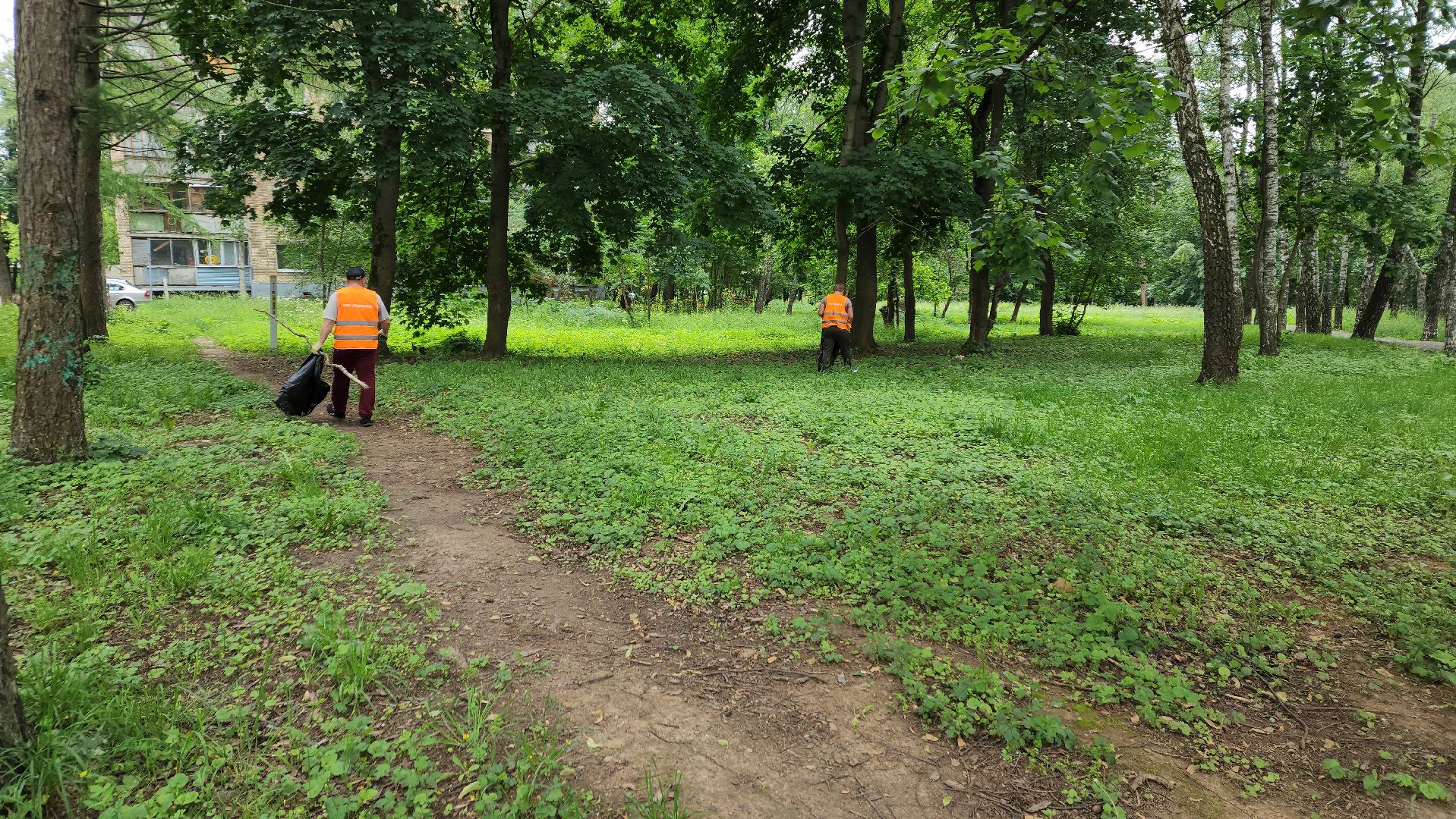 пушкино, благоустройство, уборка мусора, зоны отдыха,