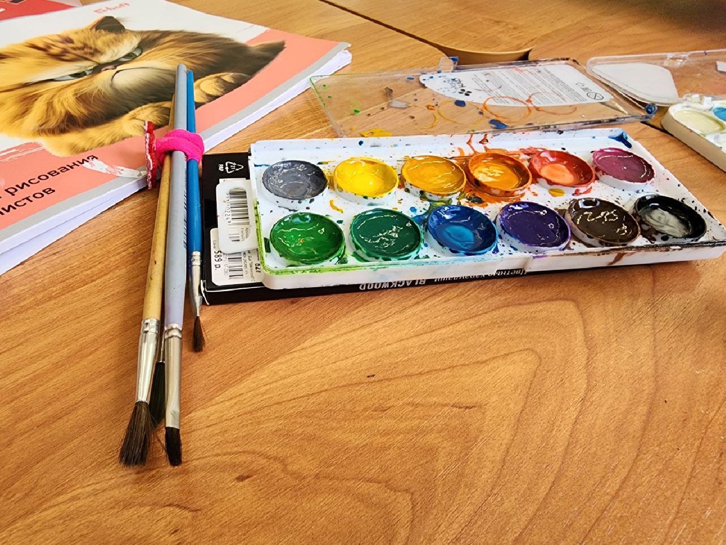 детский лагерь, школьный лагерь, лопатинская сош, ленинский округ, депутат Кокоева, Единая Россия, лагерь дневного пребывания,