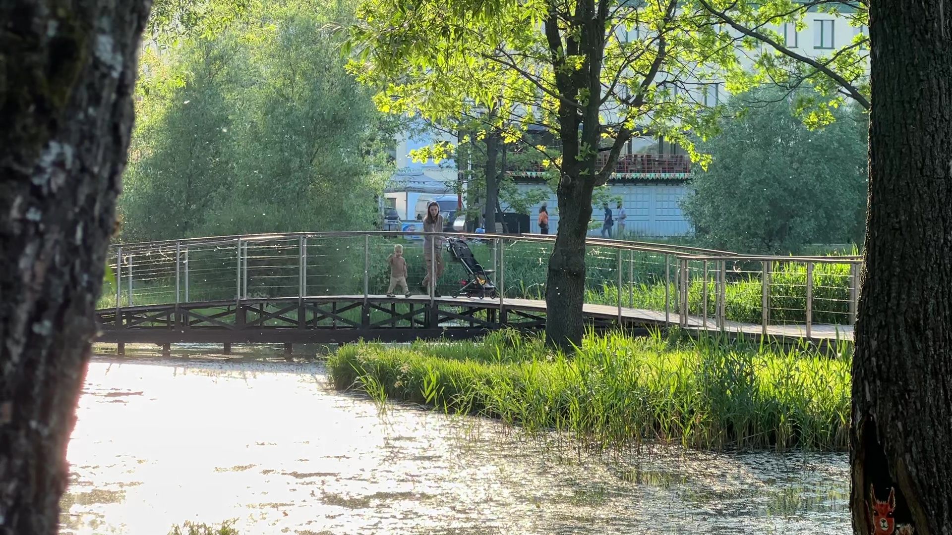 Реутов, парк, спаси дерево, рисунки, художник,