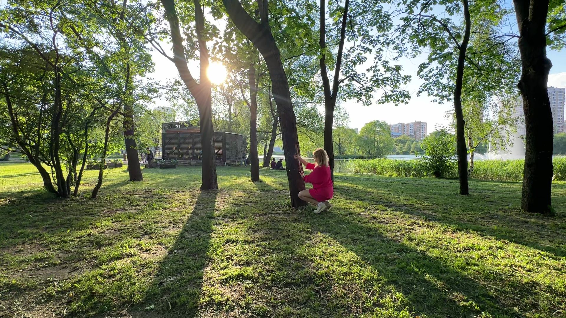 Реутов, парк, спаси дерево, рисунки, художник,