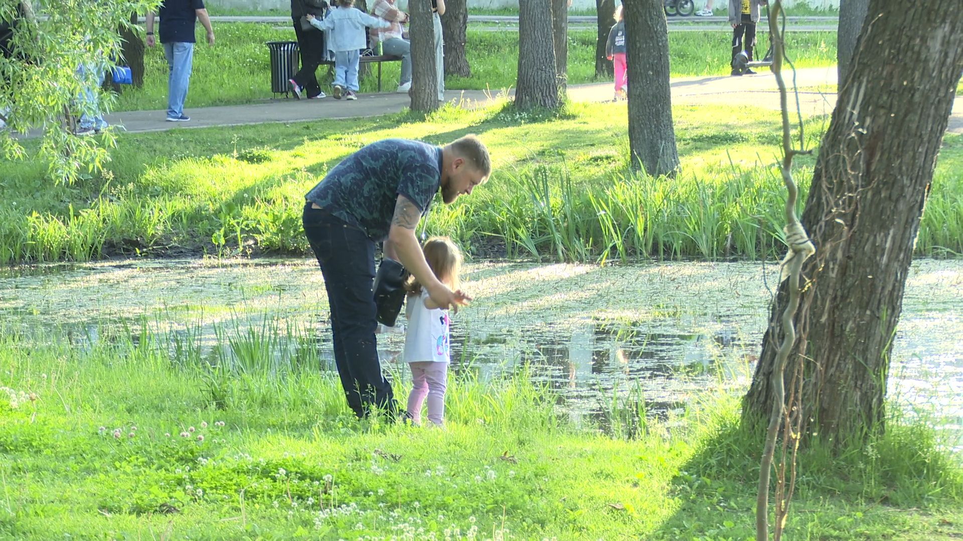 Реутов, парк, спаси дерево, рисунки, художник,