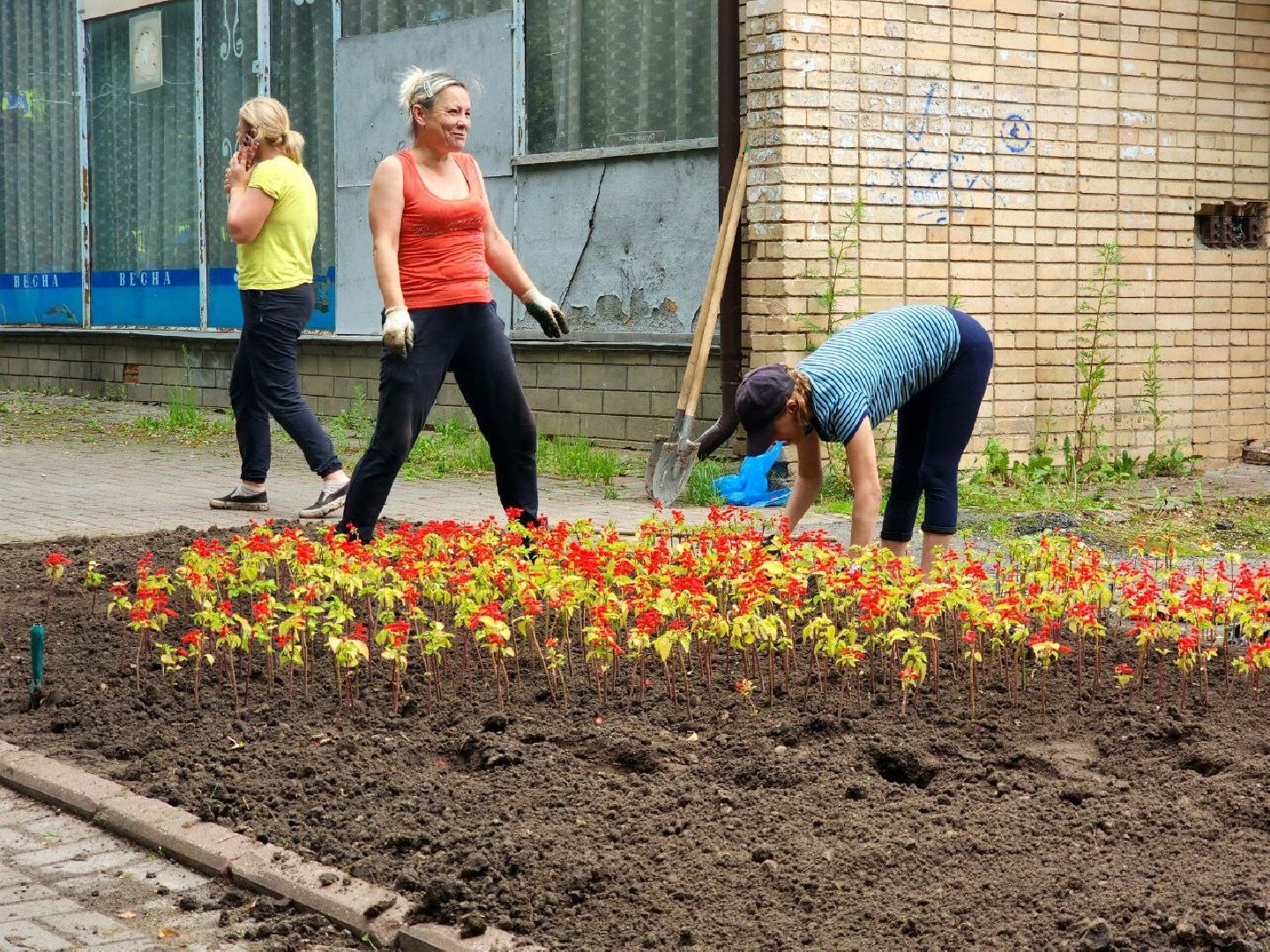 пущино, серпухов, благоустройство, клумбы,