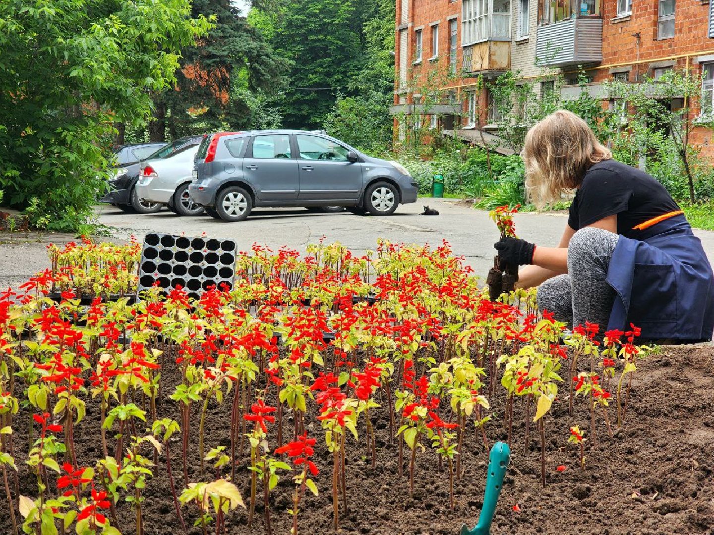 пущино, серпухов, благоустройство, клумбы,