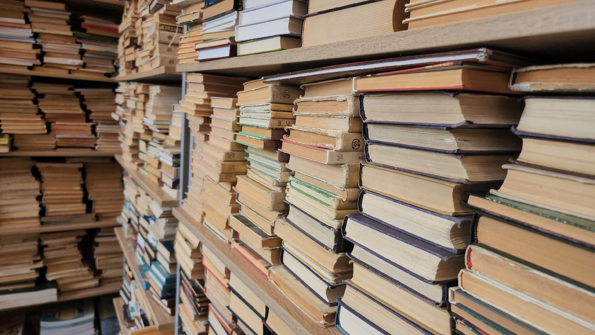 Егорьевск, Московская область, ЕГЭ, 100 баллов по егэ, Подмосковье,