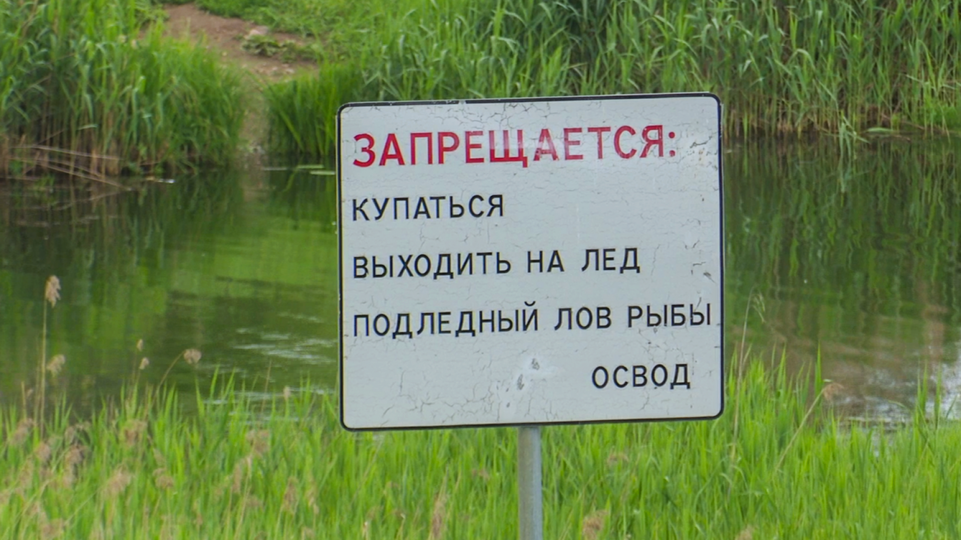 Клин, общество, благоустройство, экология,