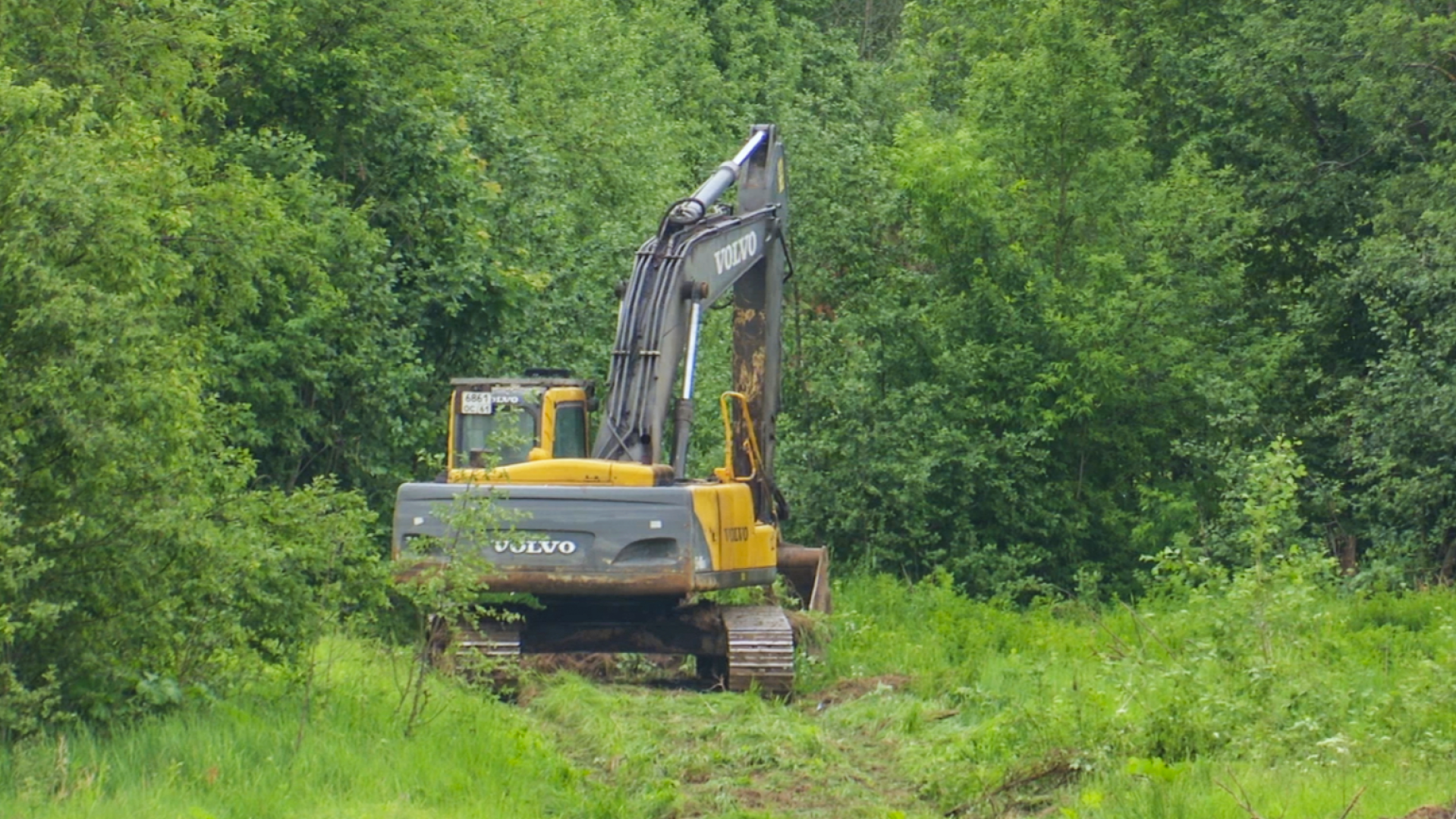 Клин, общество, благоустройство, экология,