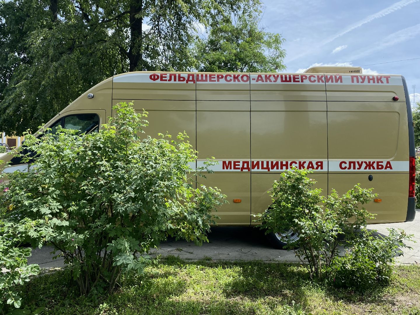 медицина, парк, коломна