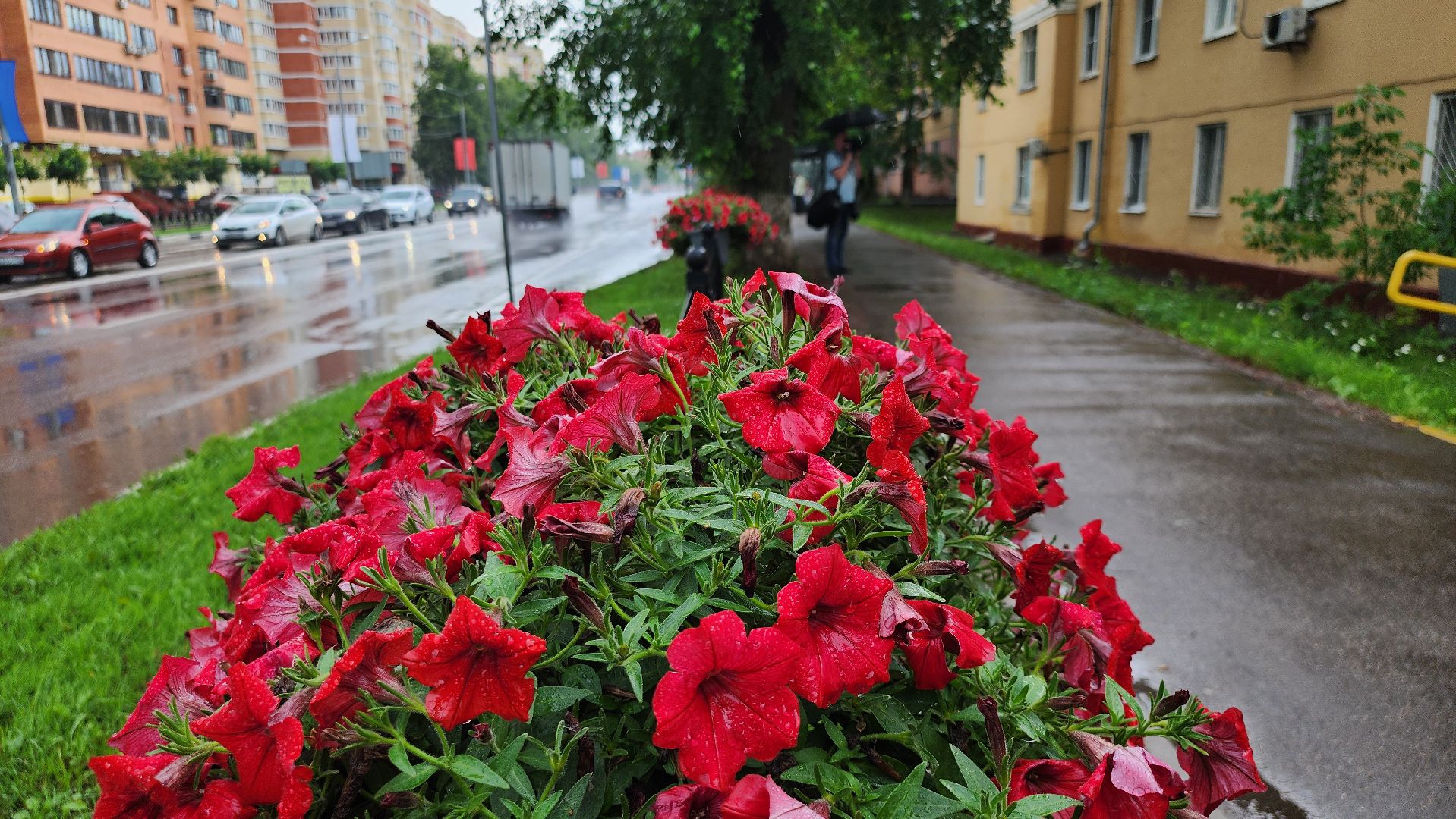 Герои СВО, орден Мужества, Домодедово,