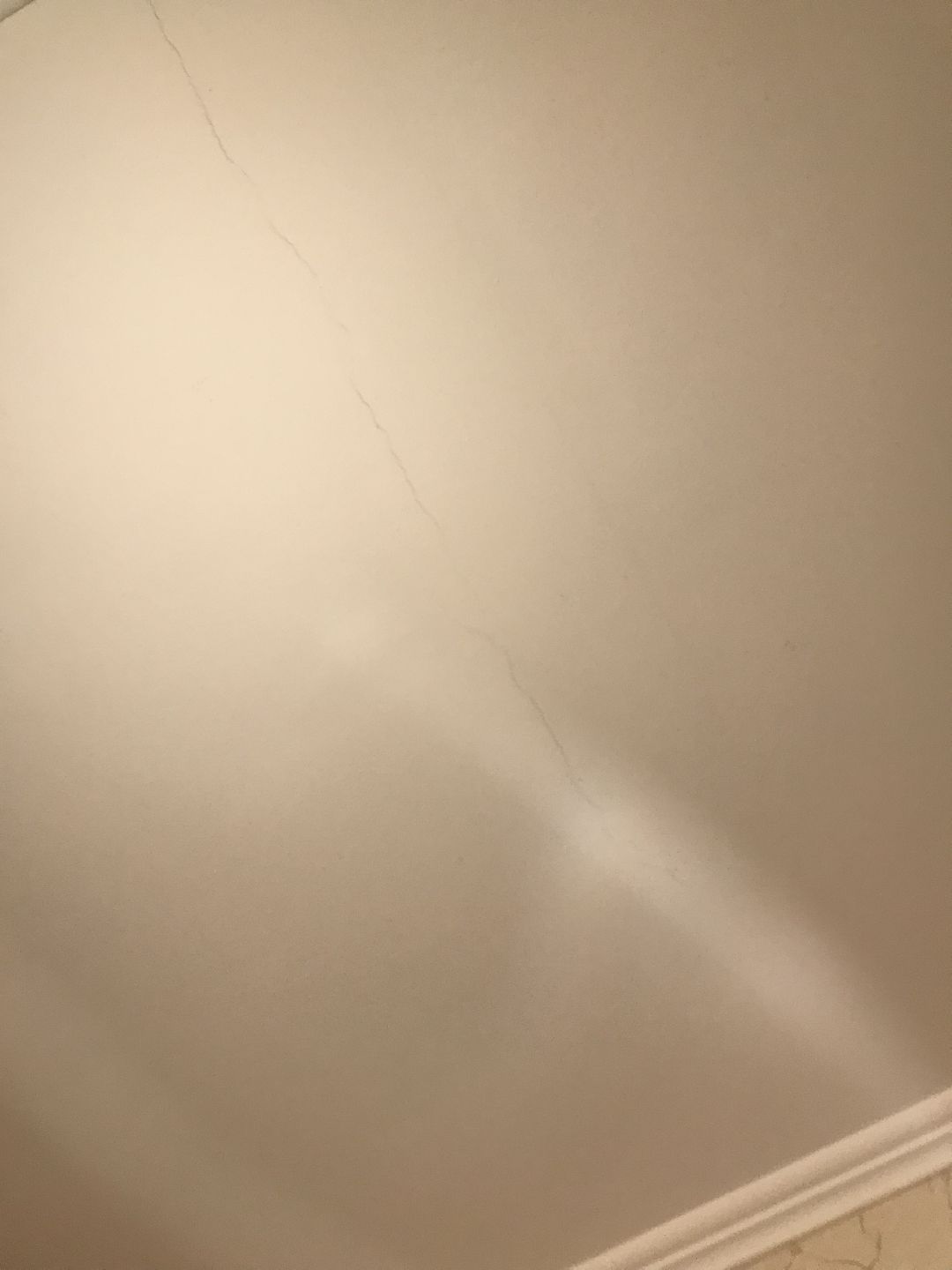 Балашиха, общество