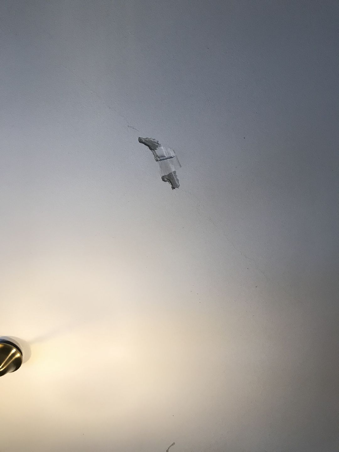 Балашиха, общество