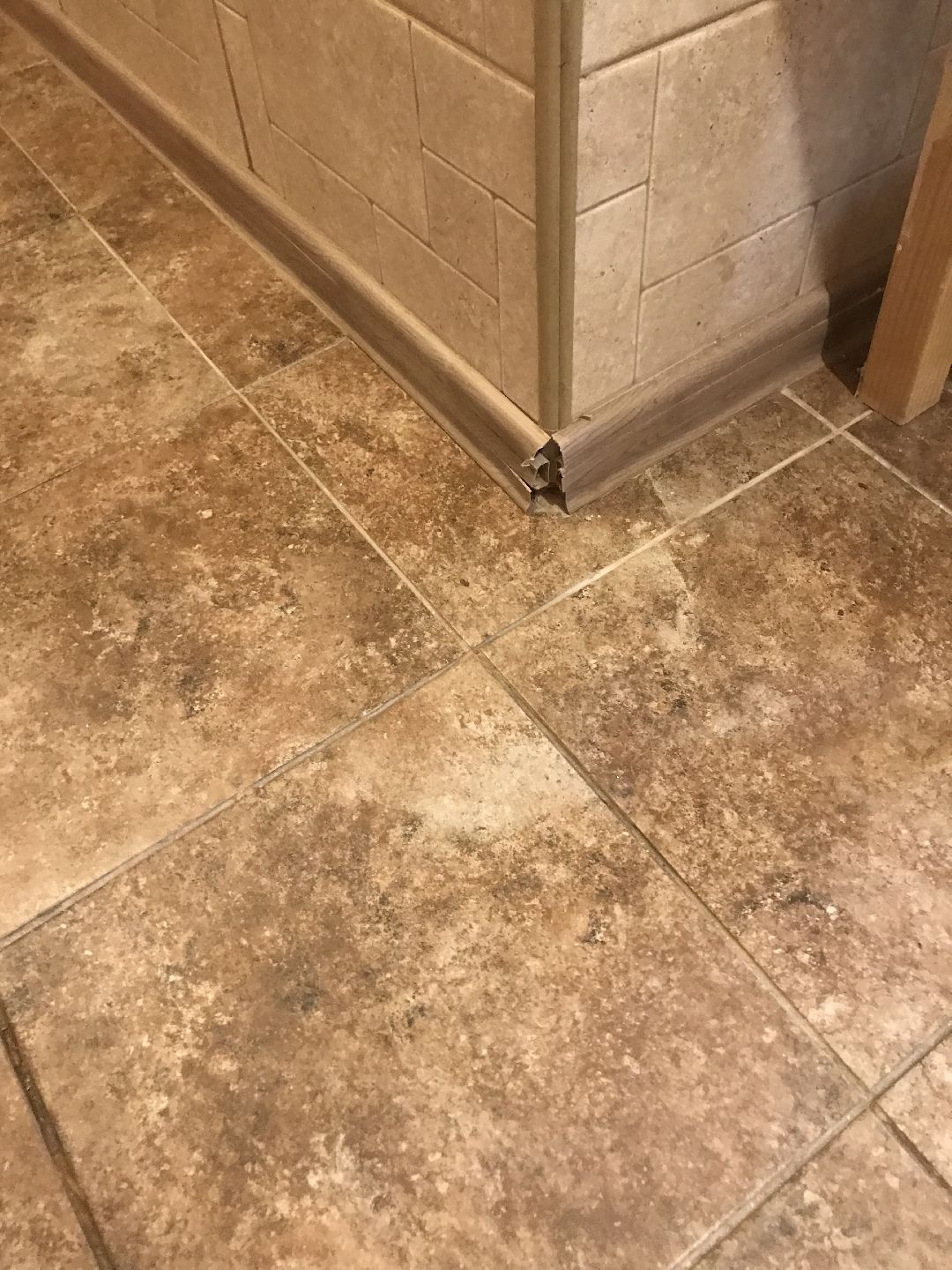 Балашиха, общество