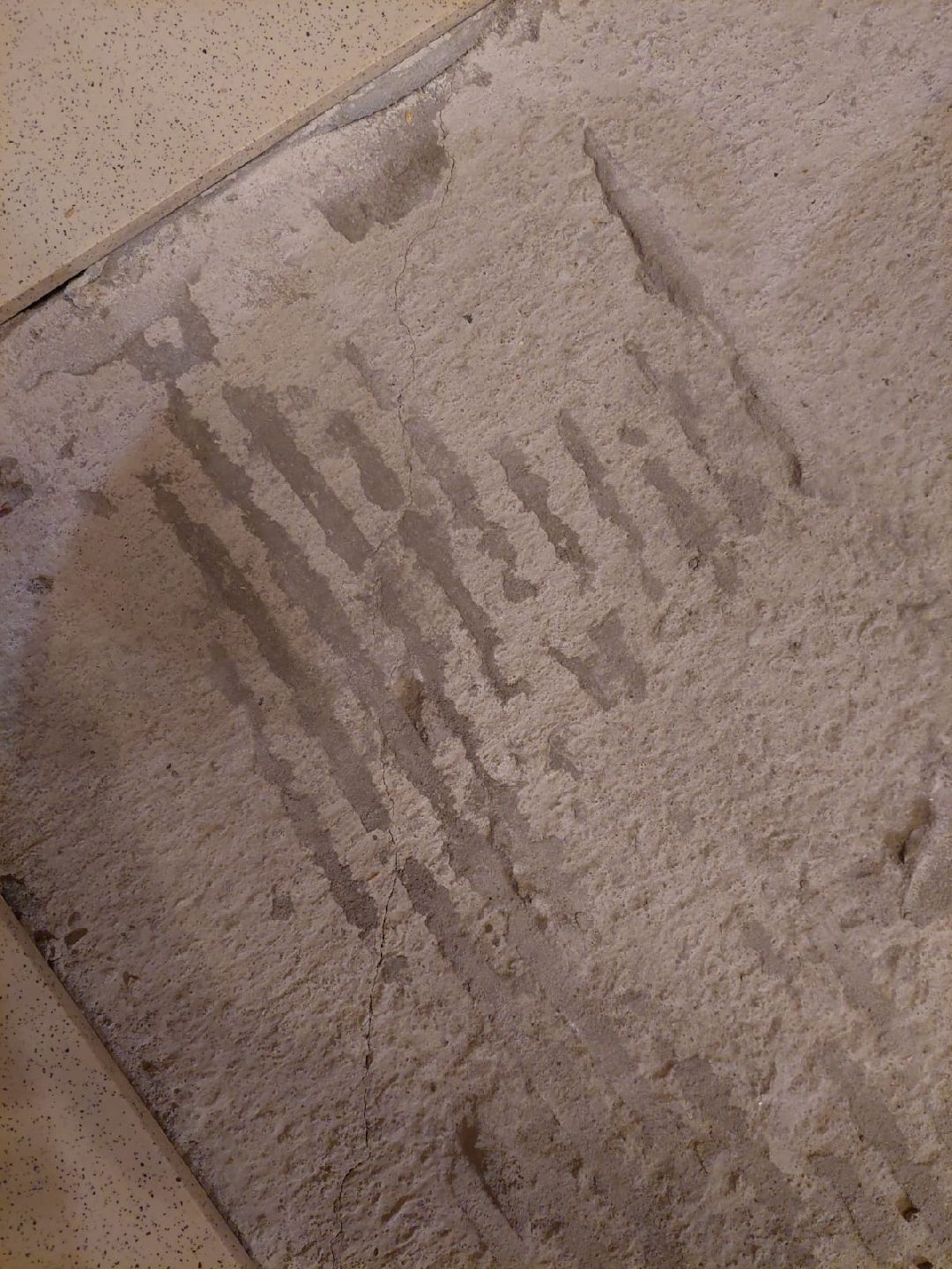 Балашиха, общество