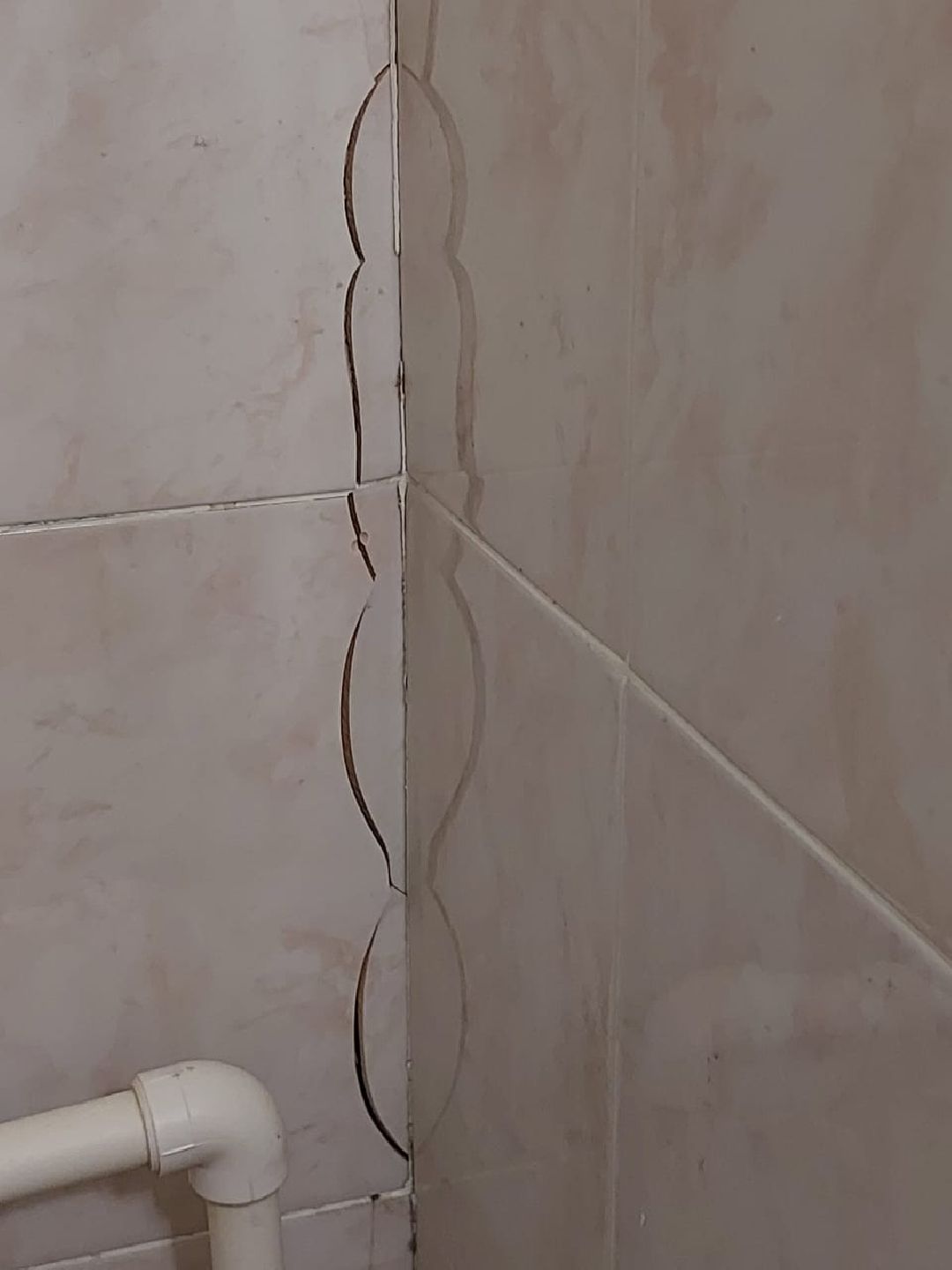 Балашиха, общество