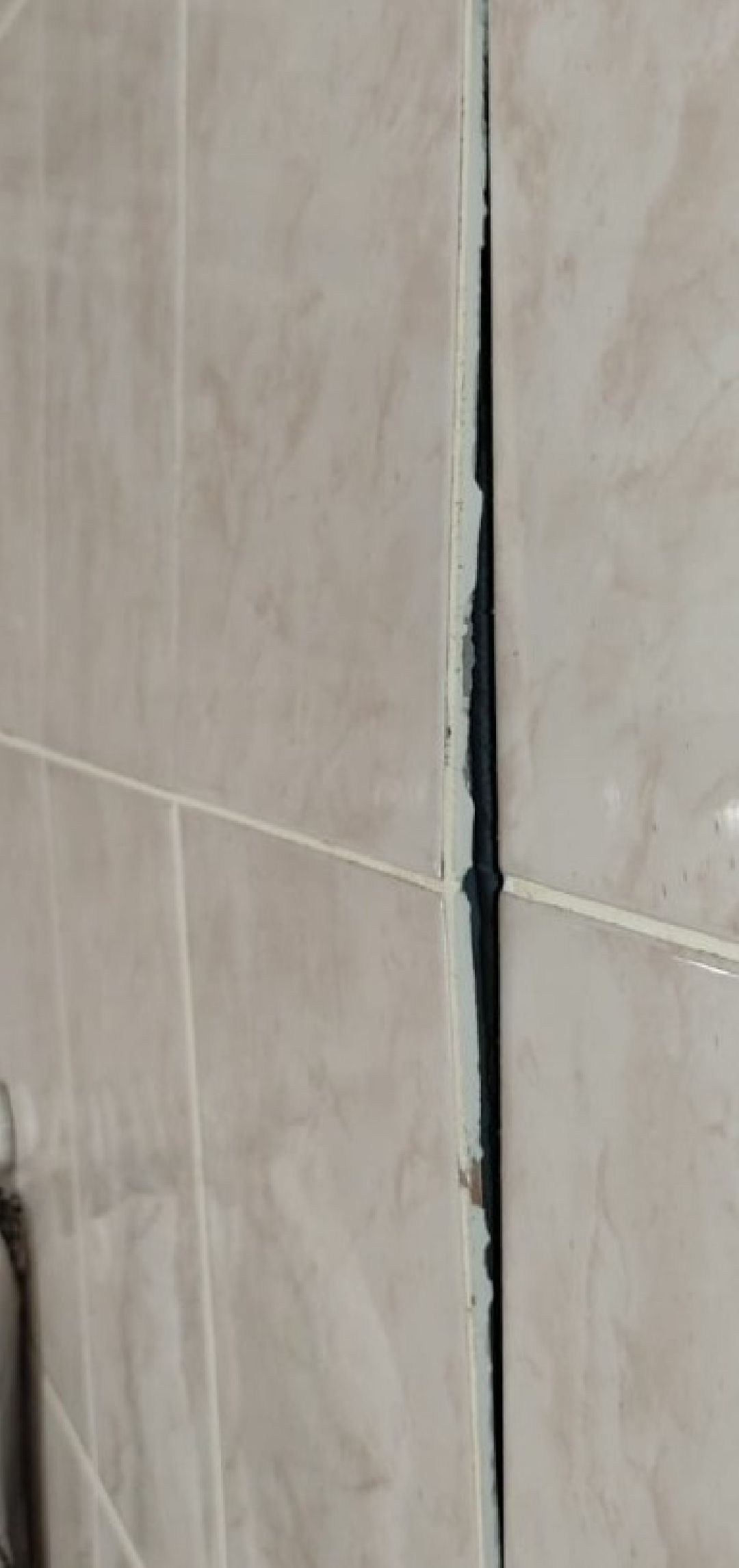 Балашиха, общество