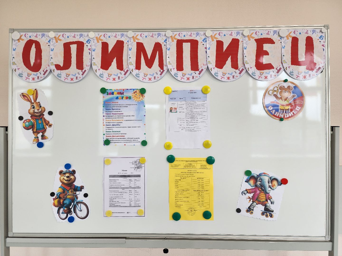 ногинск, пришкольный лагерь, школа, интерактивная игра, общество, спорт, жители, образование, дети,