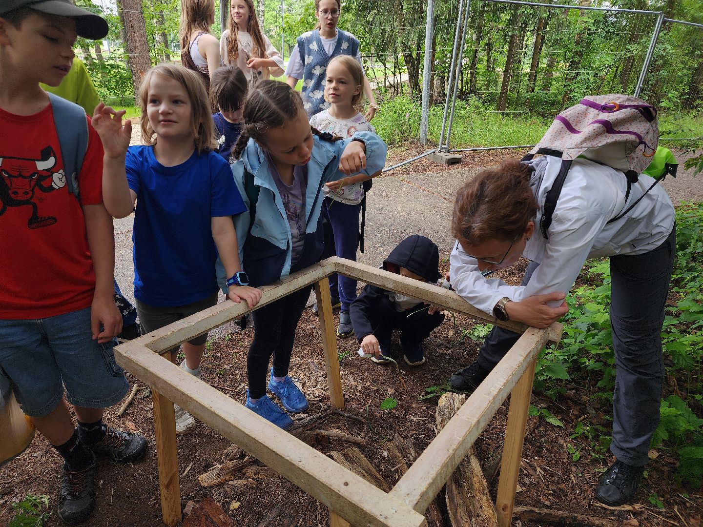 Черноголовка, Экология, Летний лагерь, дети,