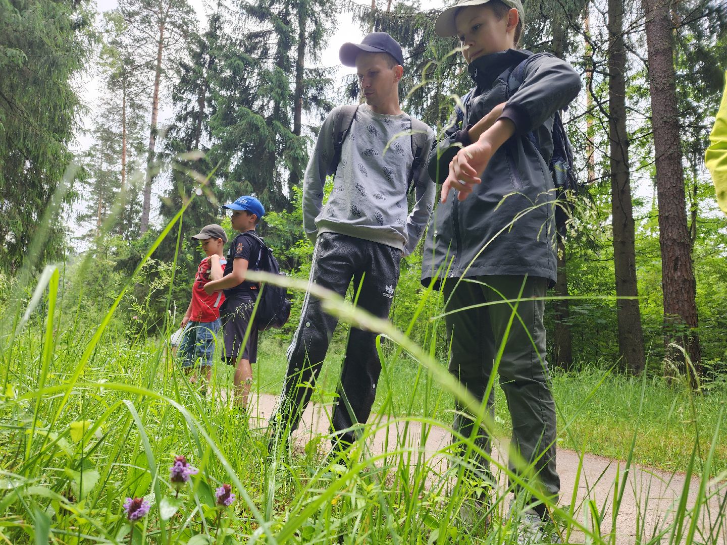 Черноголовка, Экология, Летний лагерь, дети,